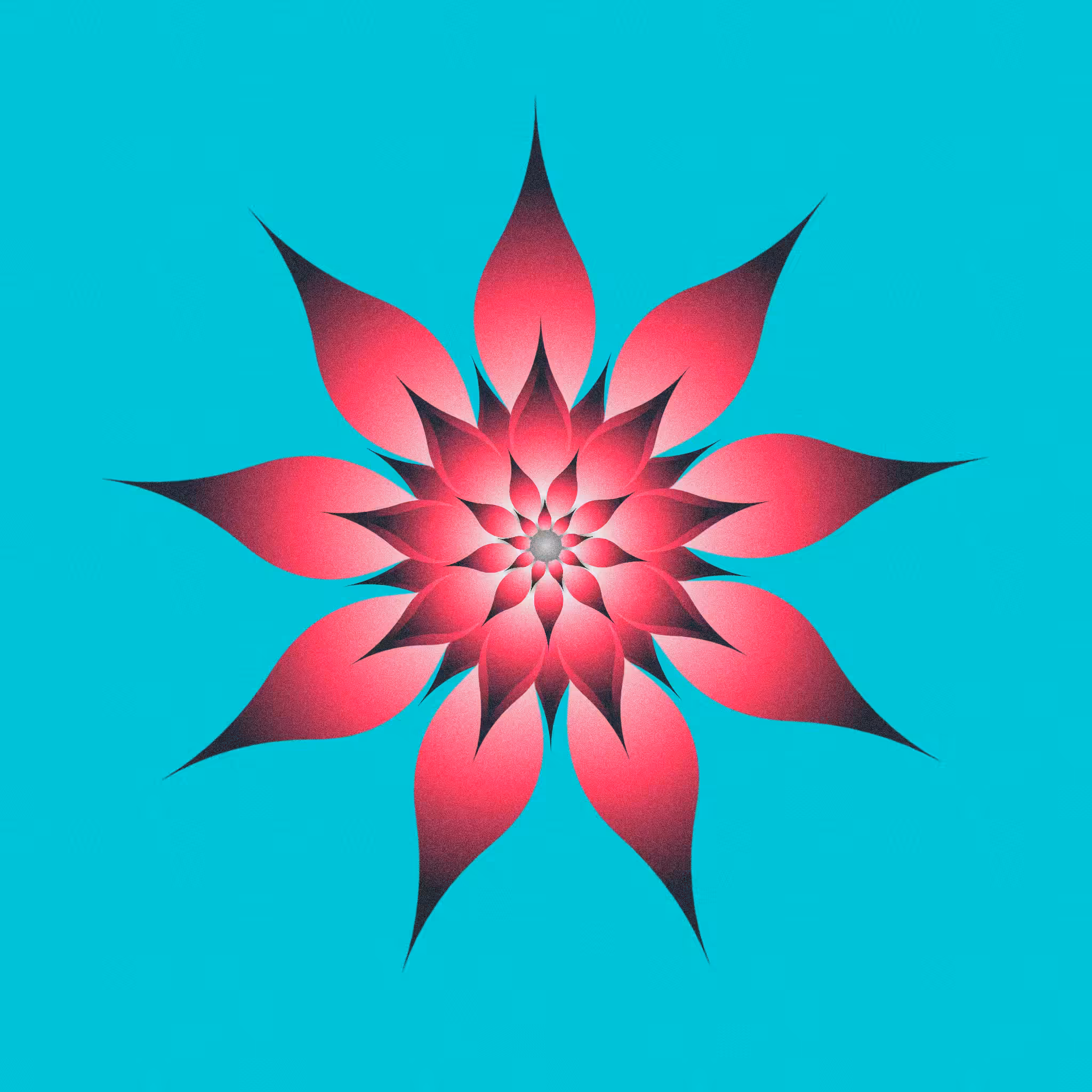 Flower #6