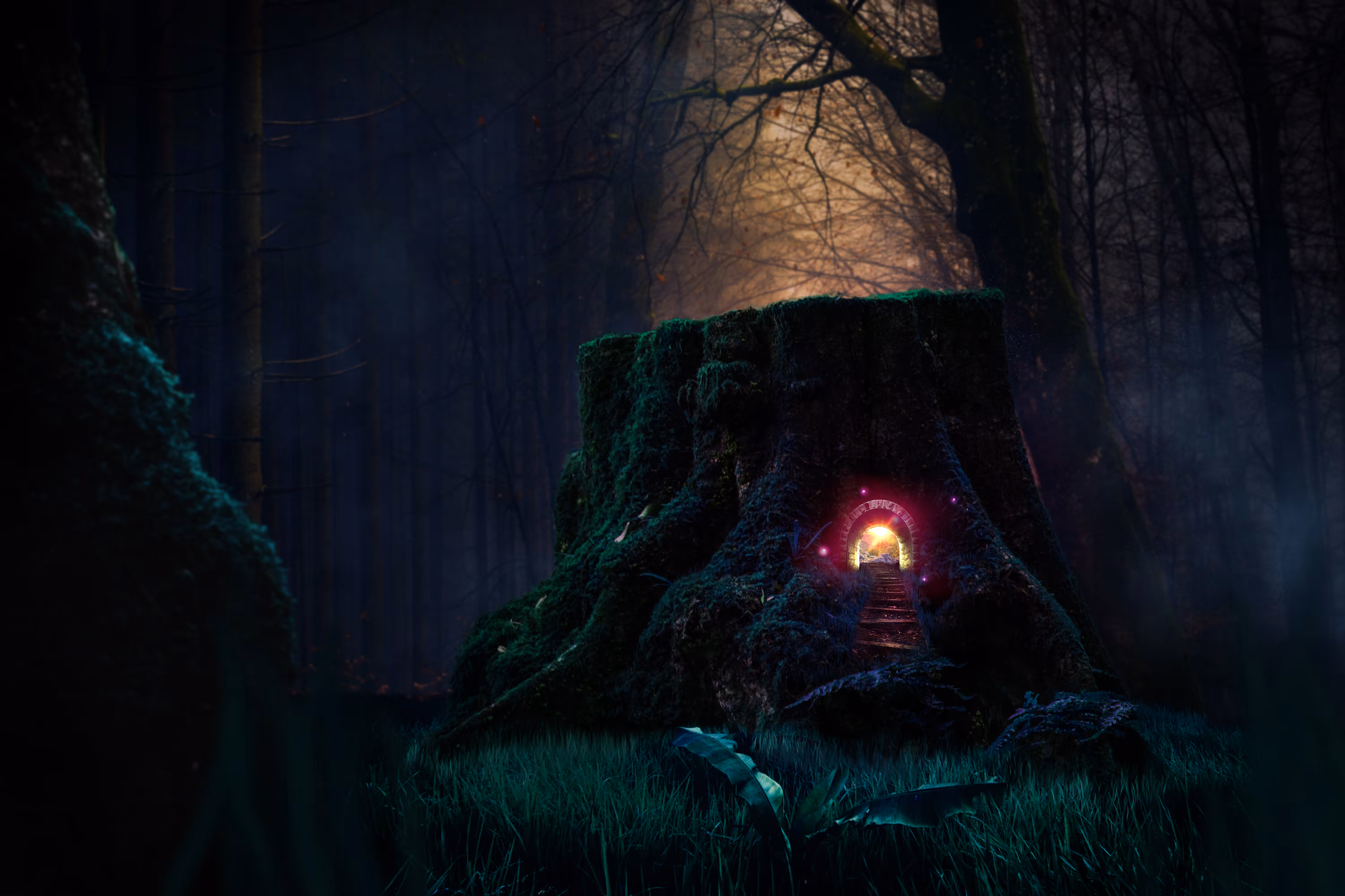 Welcome to Fairyland