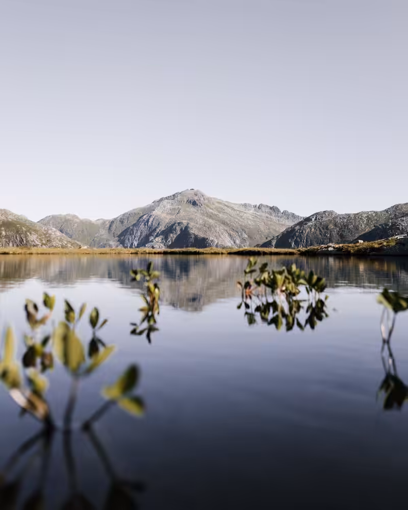 Norwegian reflection in Lofoten islands