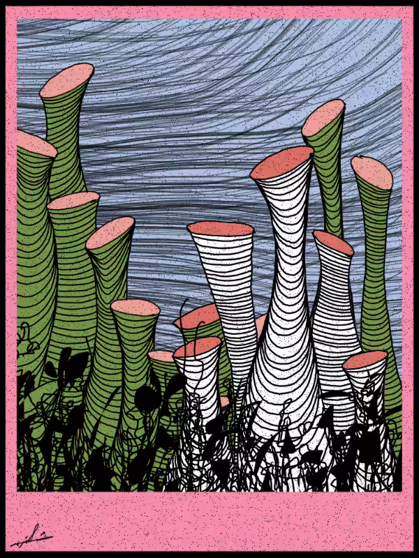 Play with lines #zentangle #16