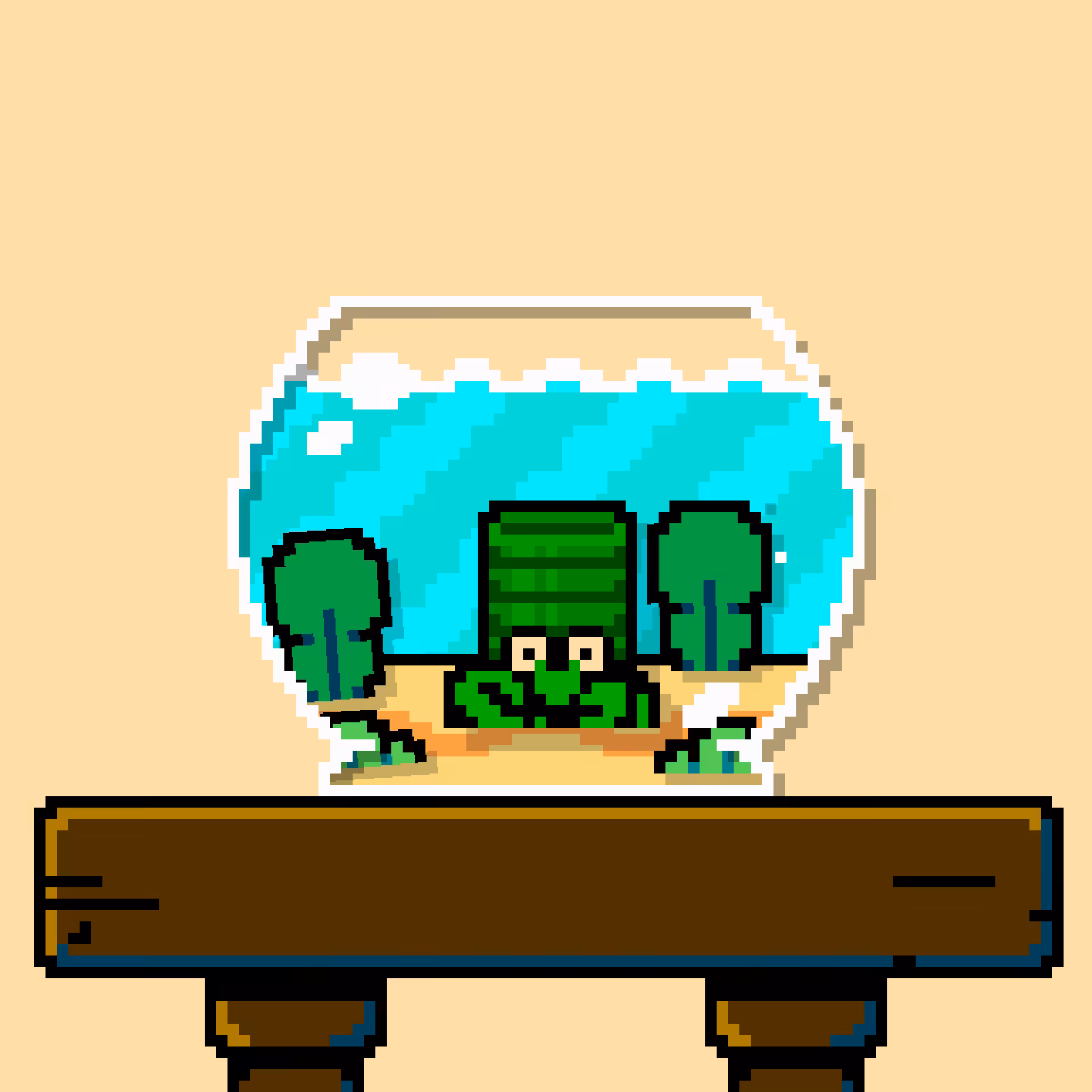 hermit crab #85