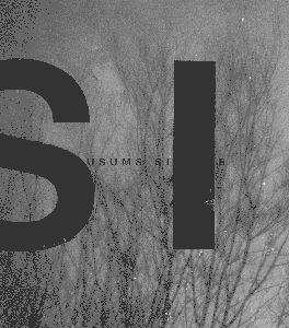 Rodeo post #328: Klusums - Silence