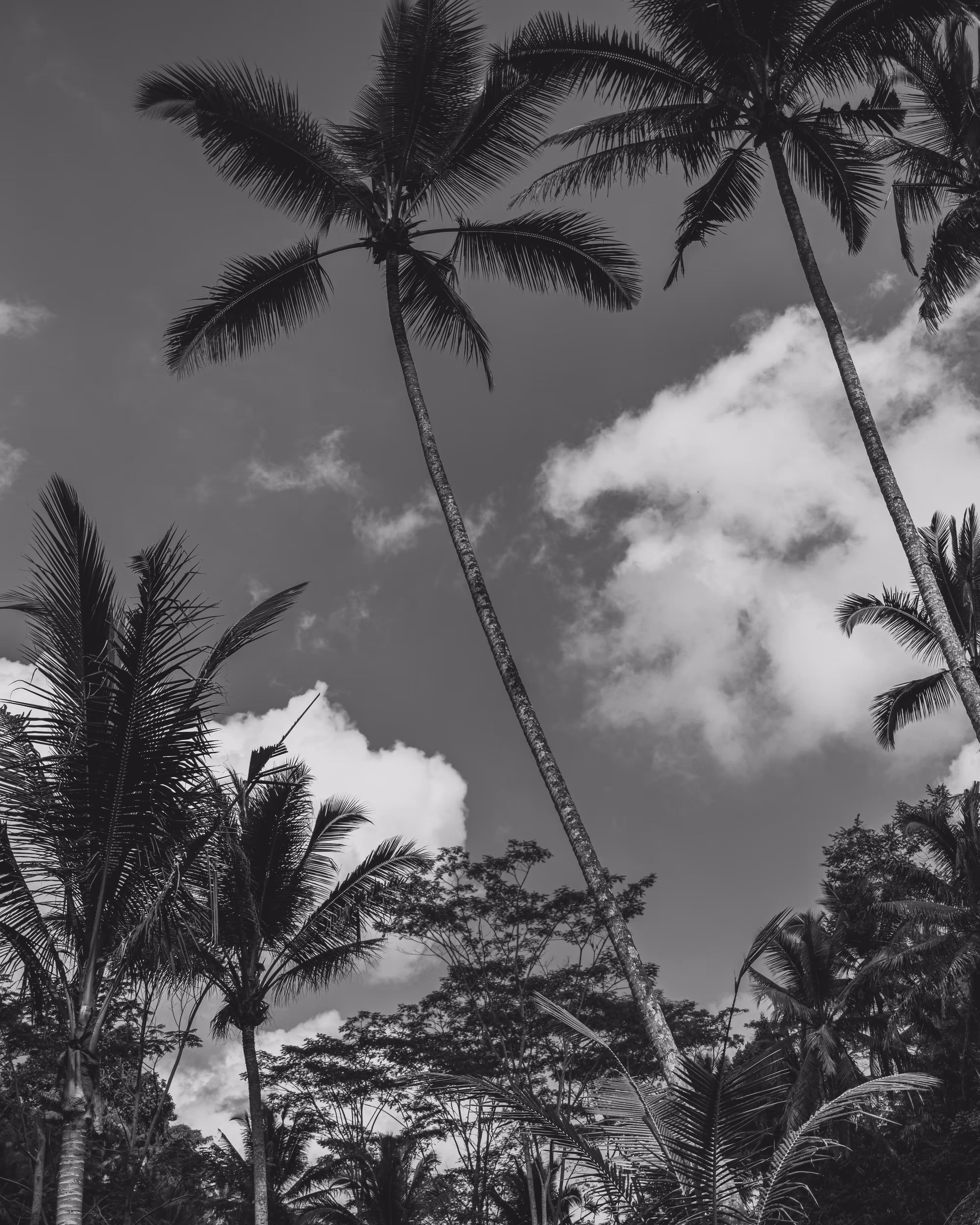 Bali in Black & White #6