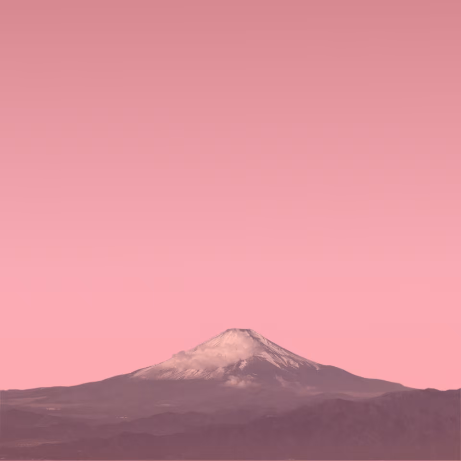 The.pink.hood Fuji