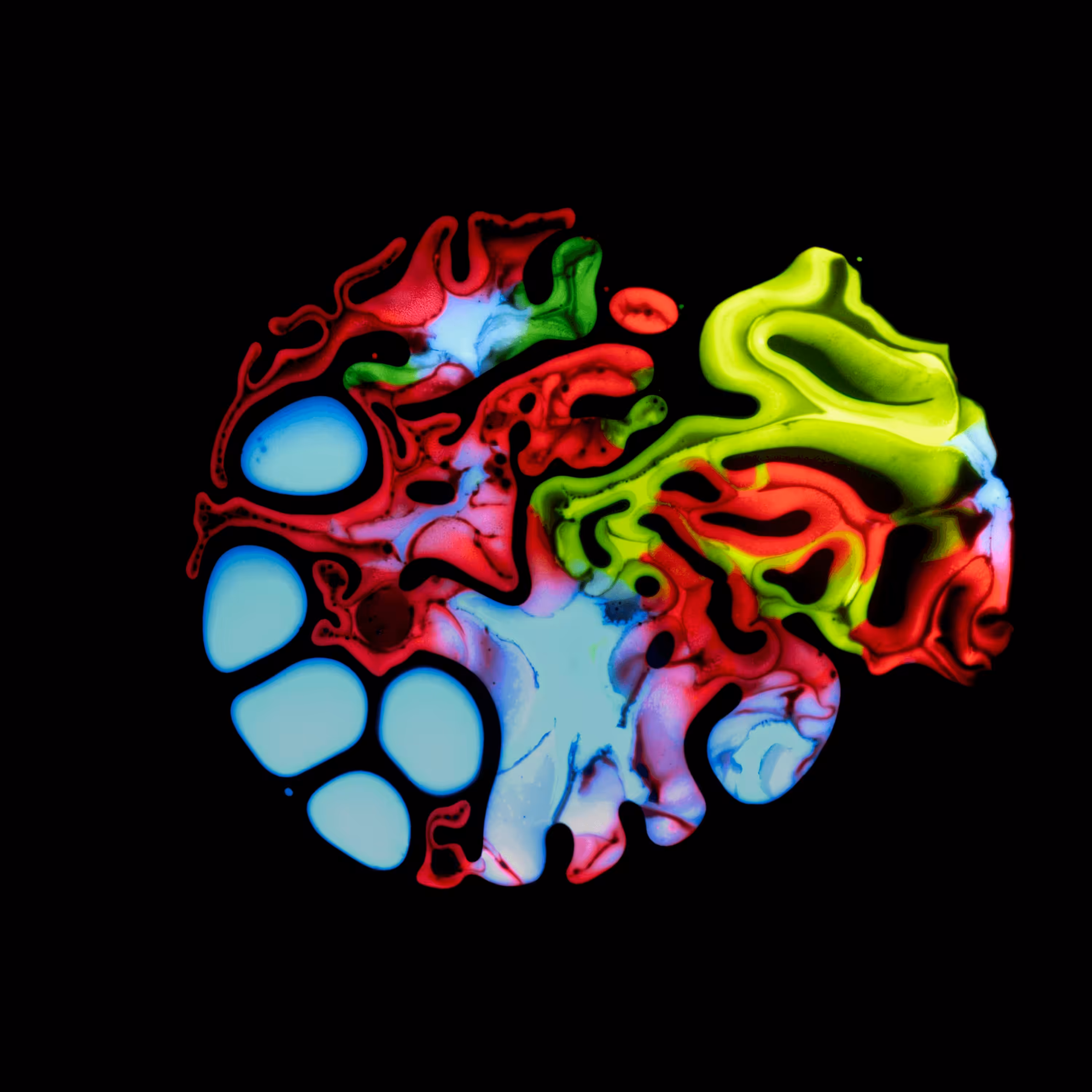 Haematopoiesis #63