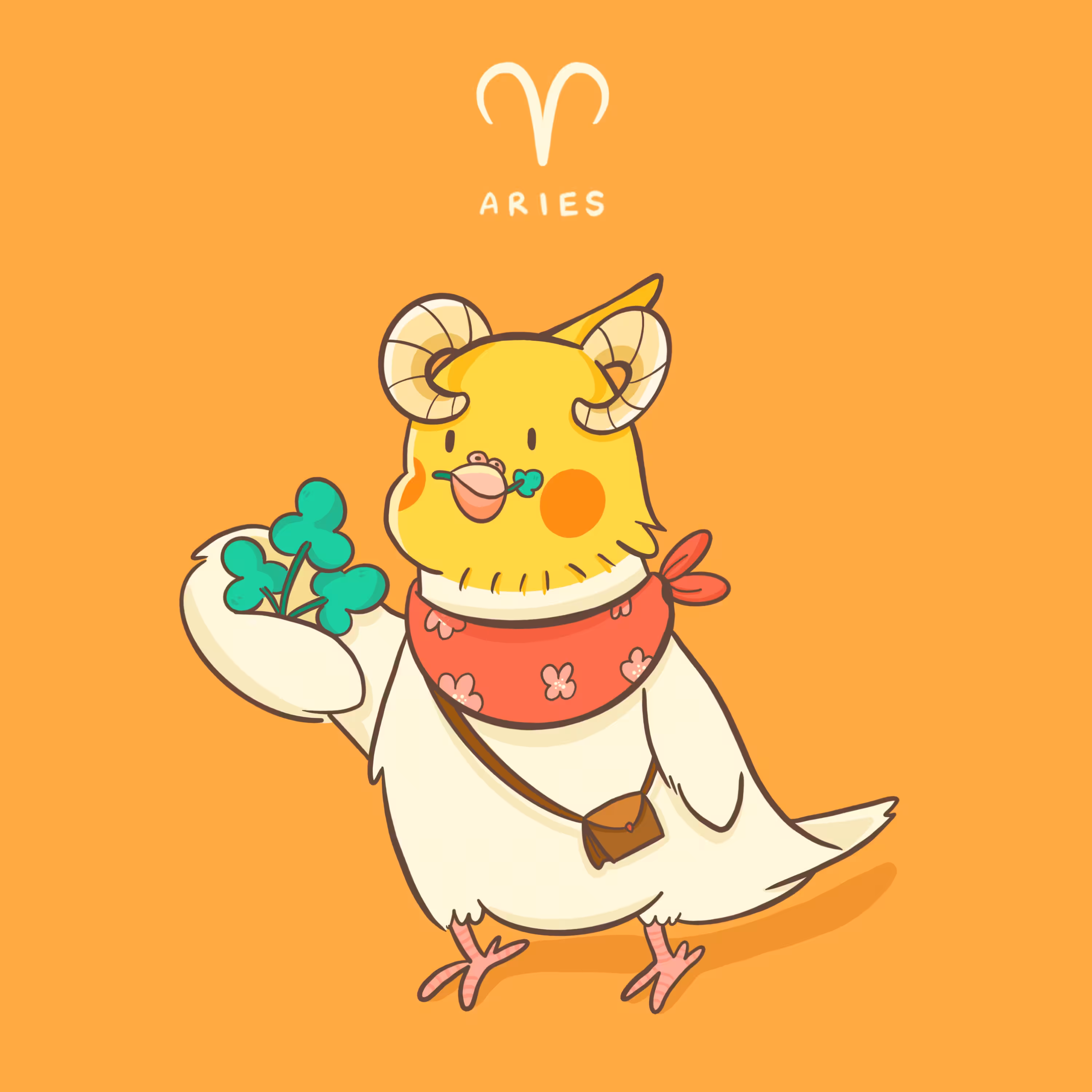 Cockatiel Bird - Aries ♈️