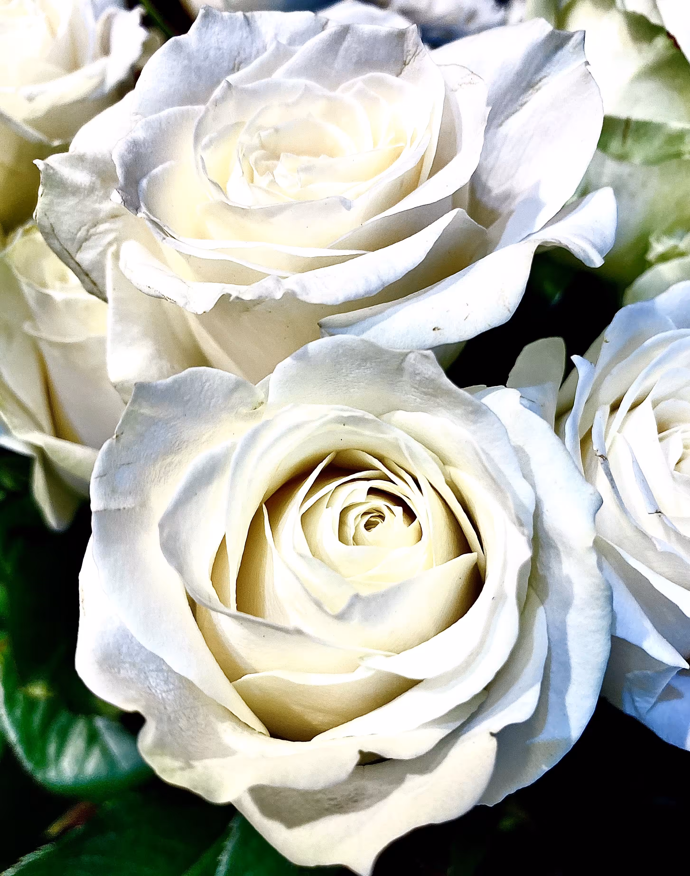 Ice cream rose