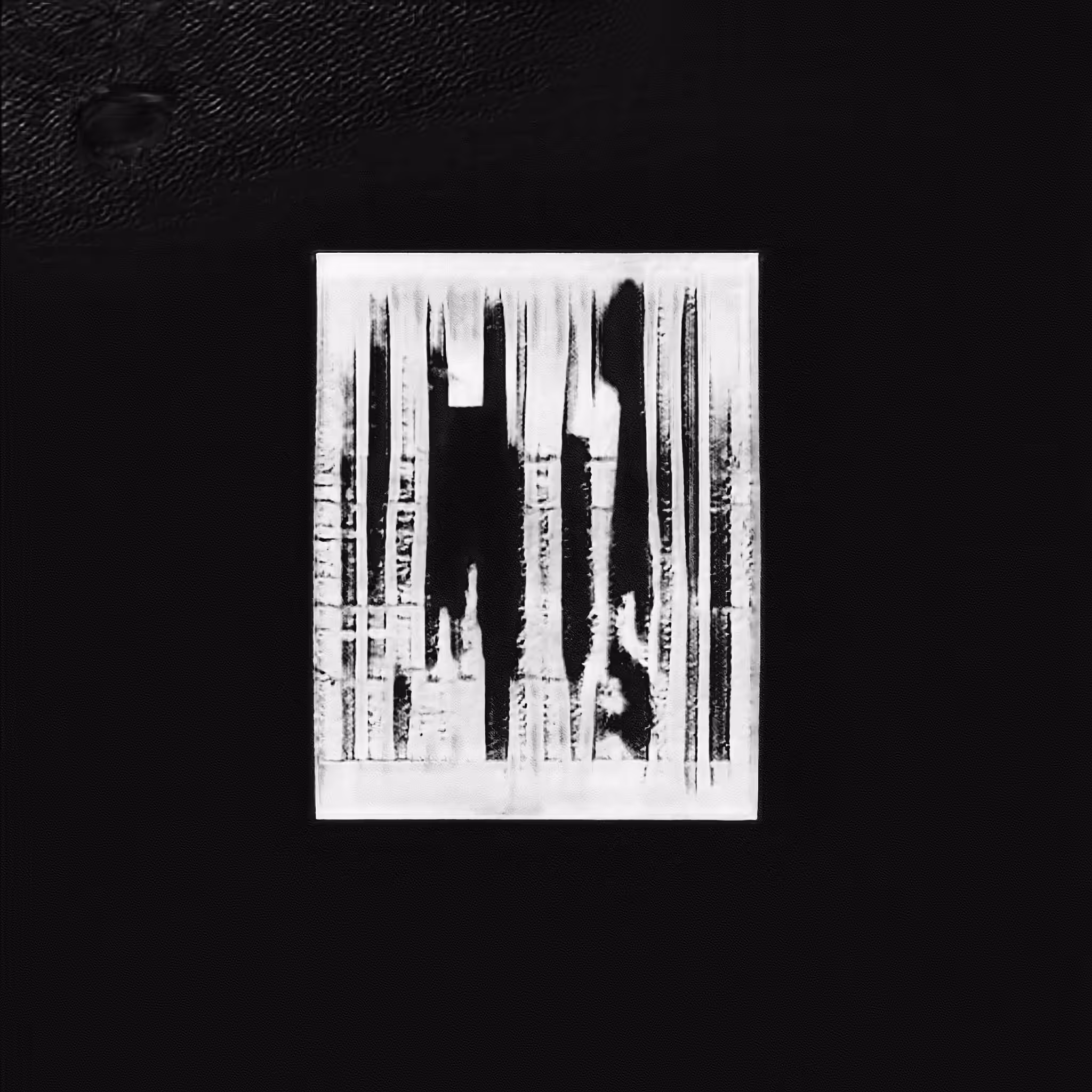 paperburn_xii