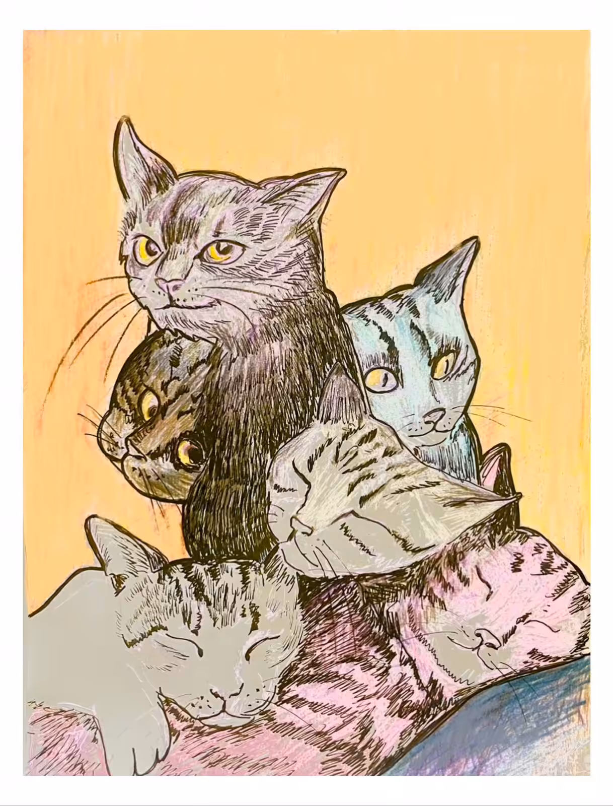 Casanova the cat