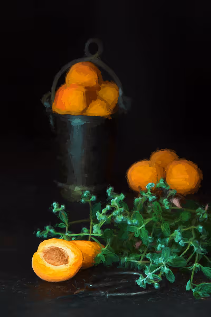 Still Life With Apricots