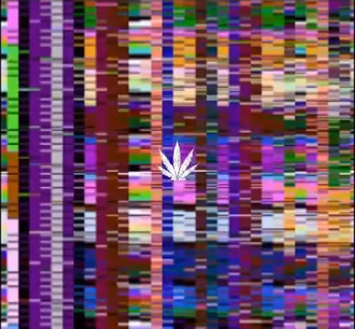 This Weed Is Making Me Dizzy (Sizzling Strobes & Glitches series)