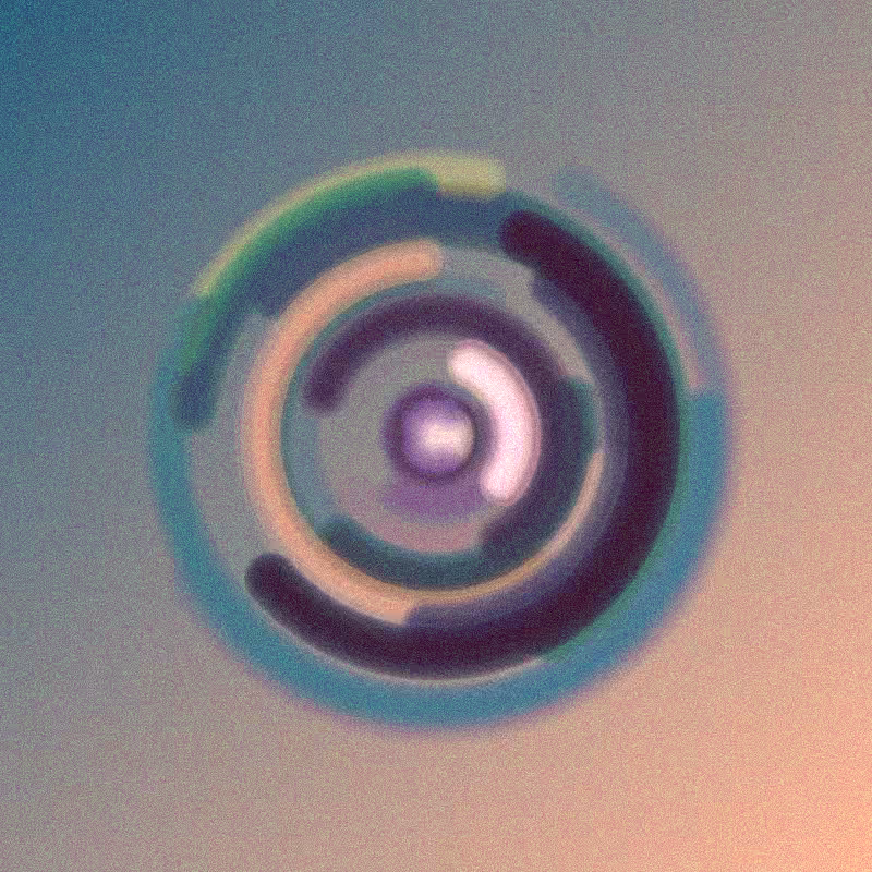 Wisp #33