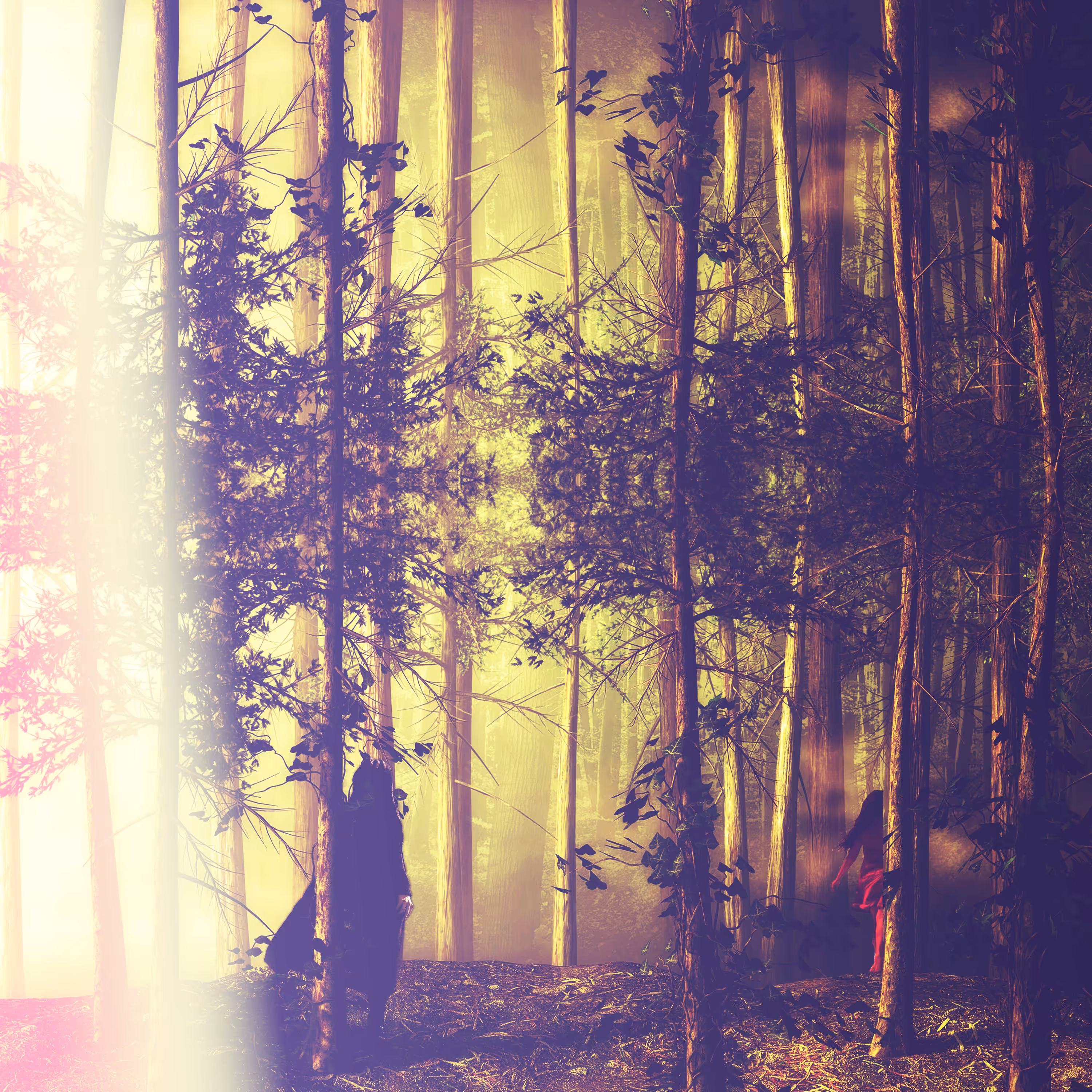 Into The Trees
