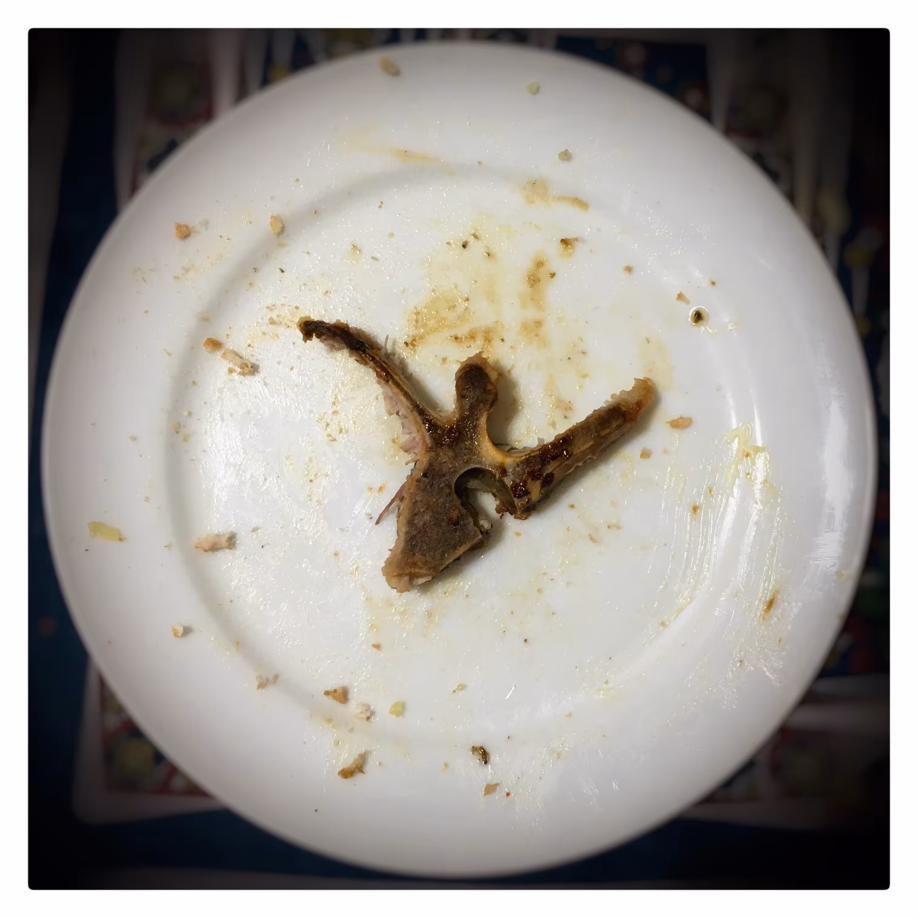 Lunch time