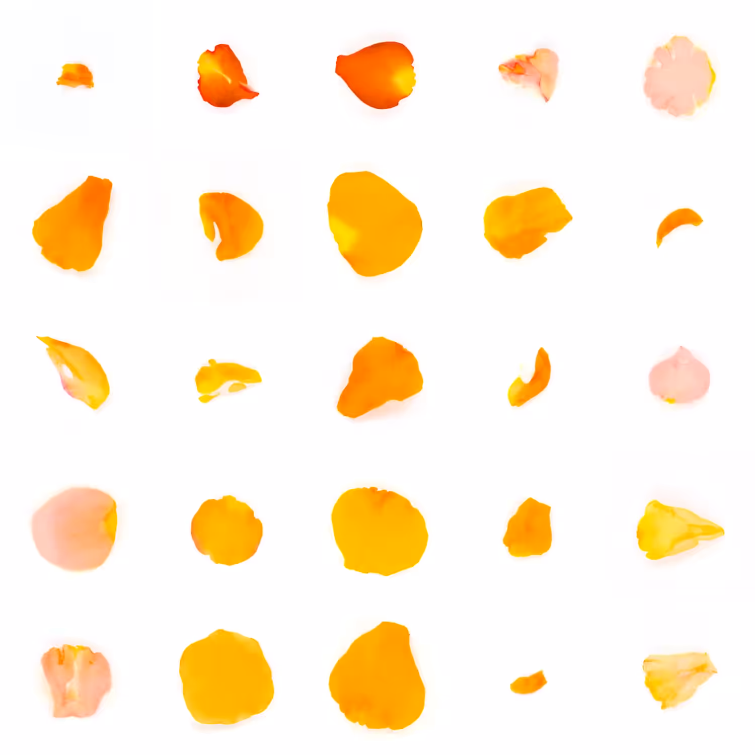 Infinite Petals 5x5#20735