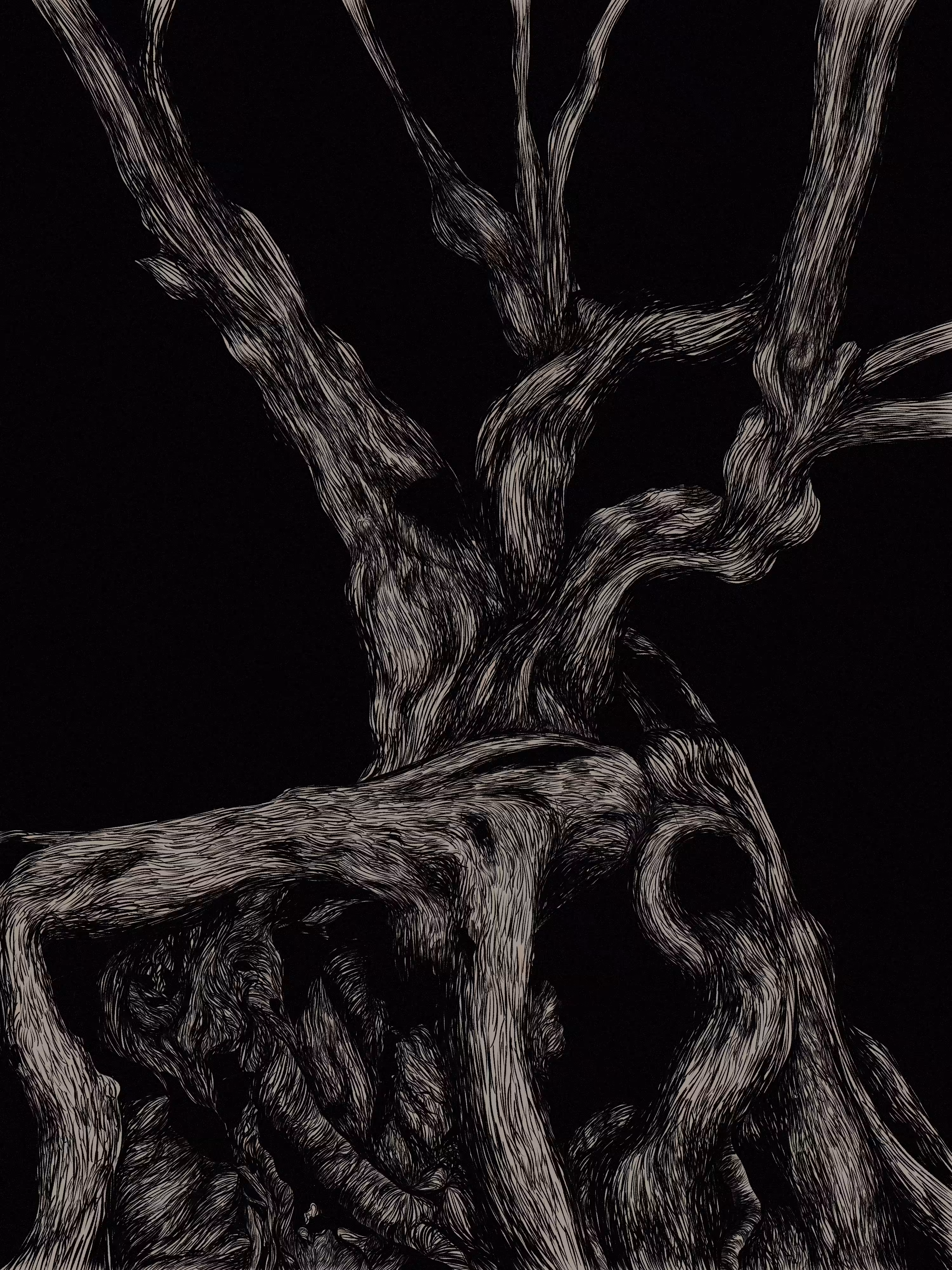 take root