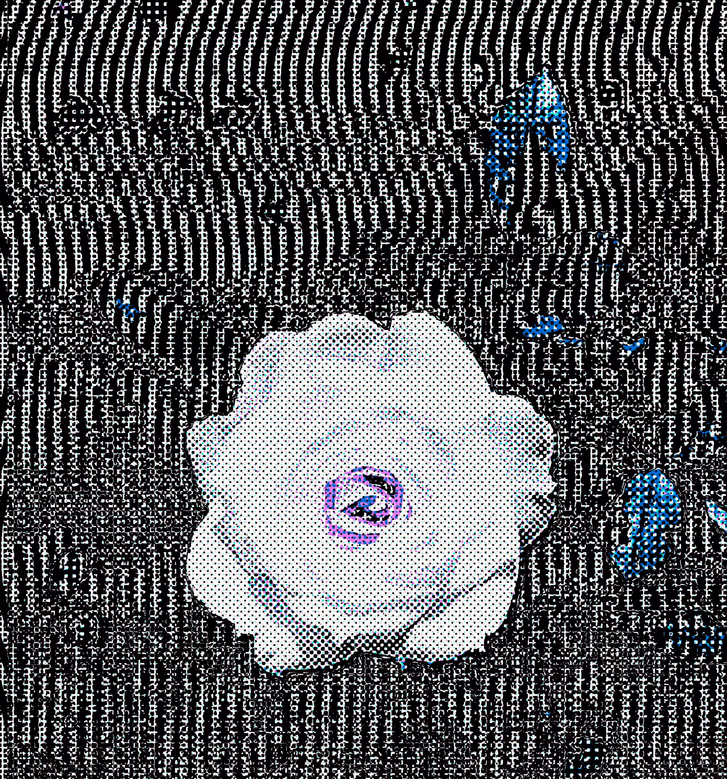 GM 8.2