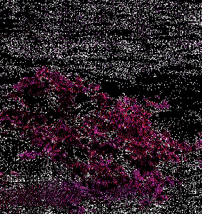 YZ_19