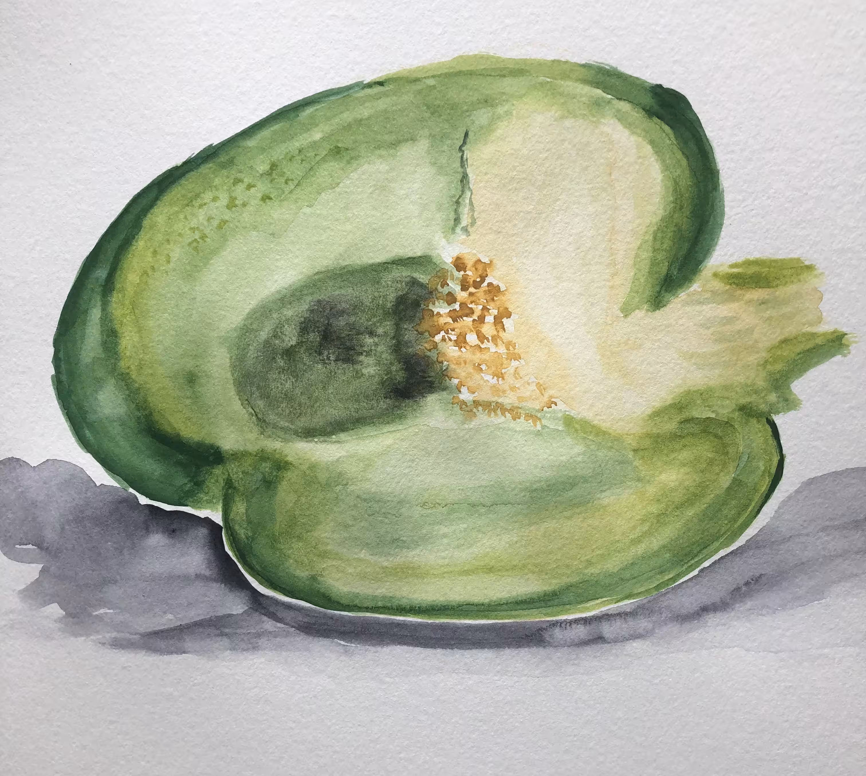 Day 53 Green Pepper