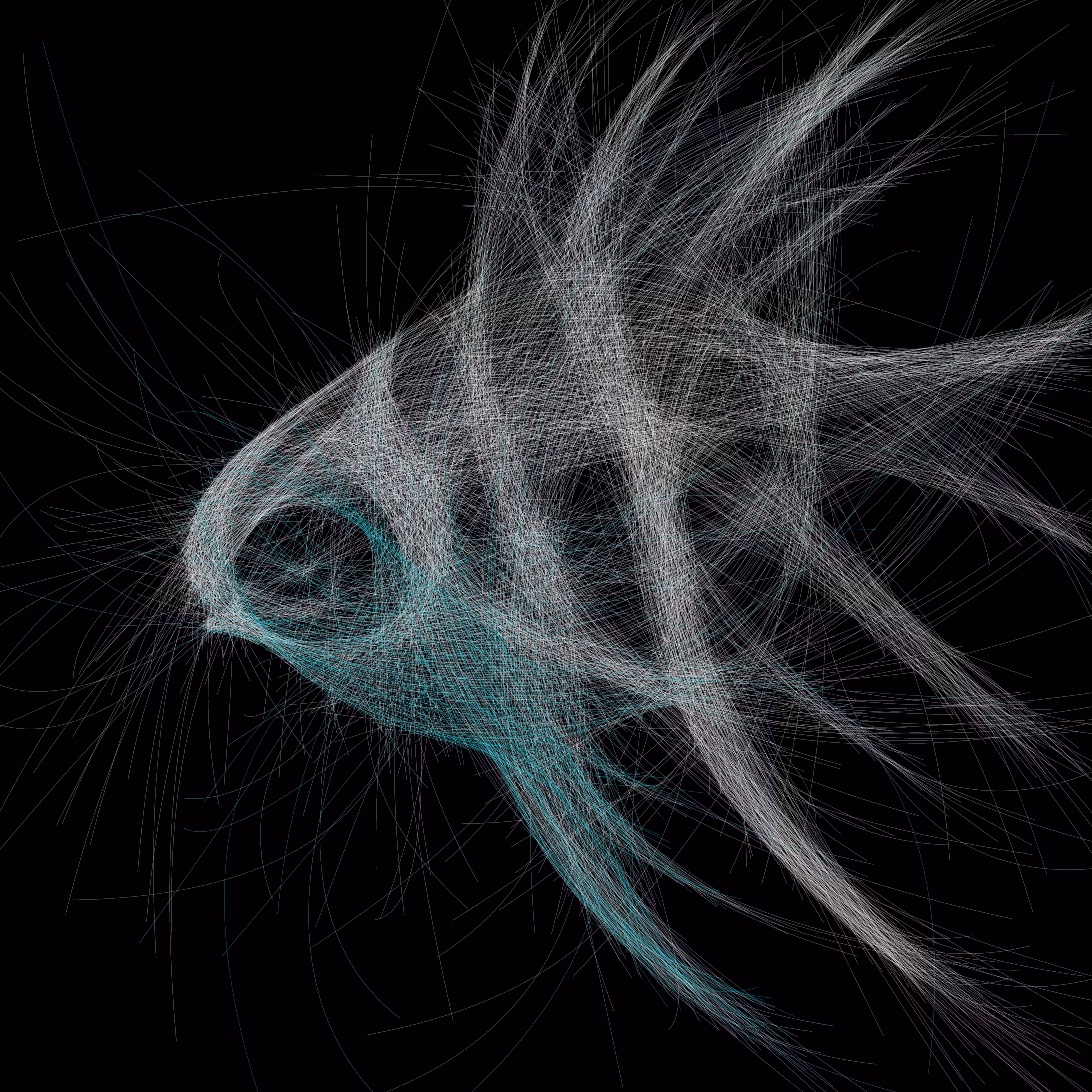 UNDERWATER: Underwater 17