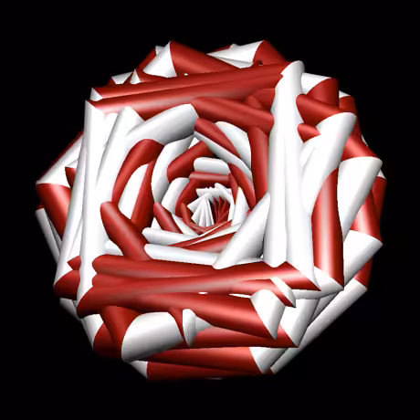 rose #9