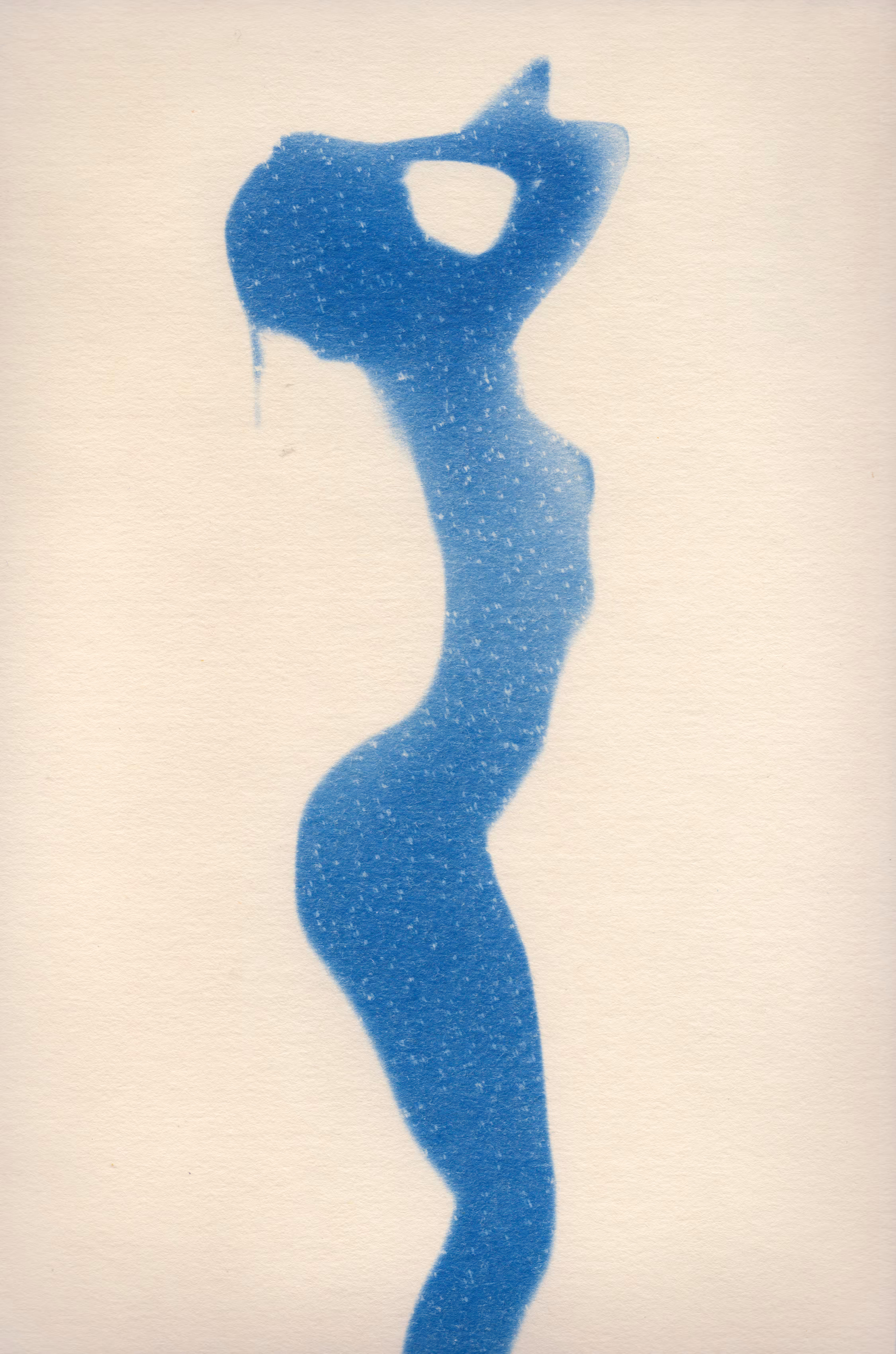 Cyanotype 1
