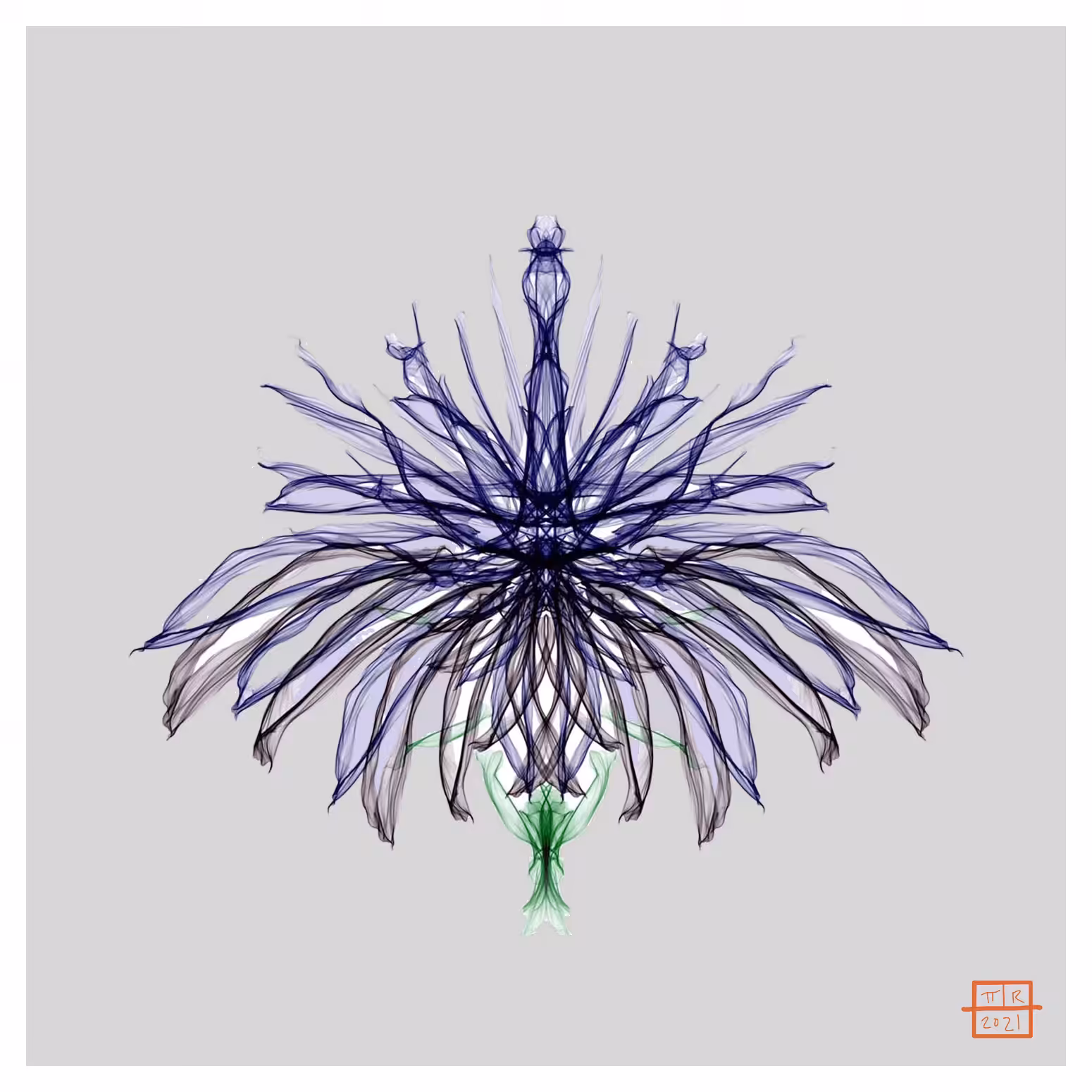 Blue exotic chrysantenum