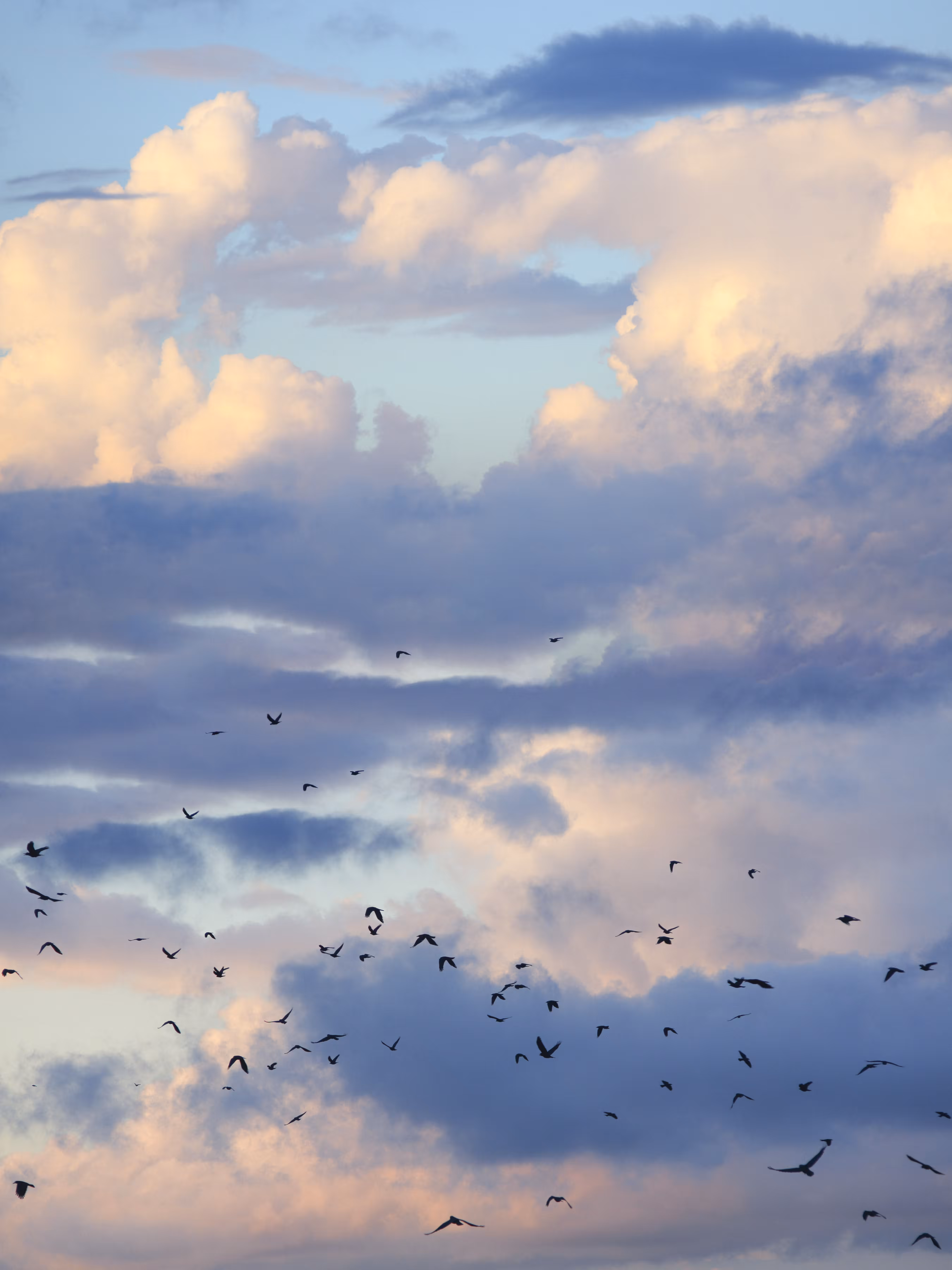 Memories: Flight to Infinity