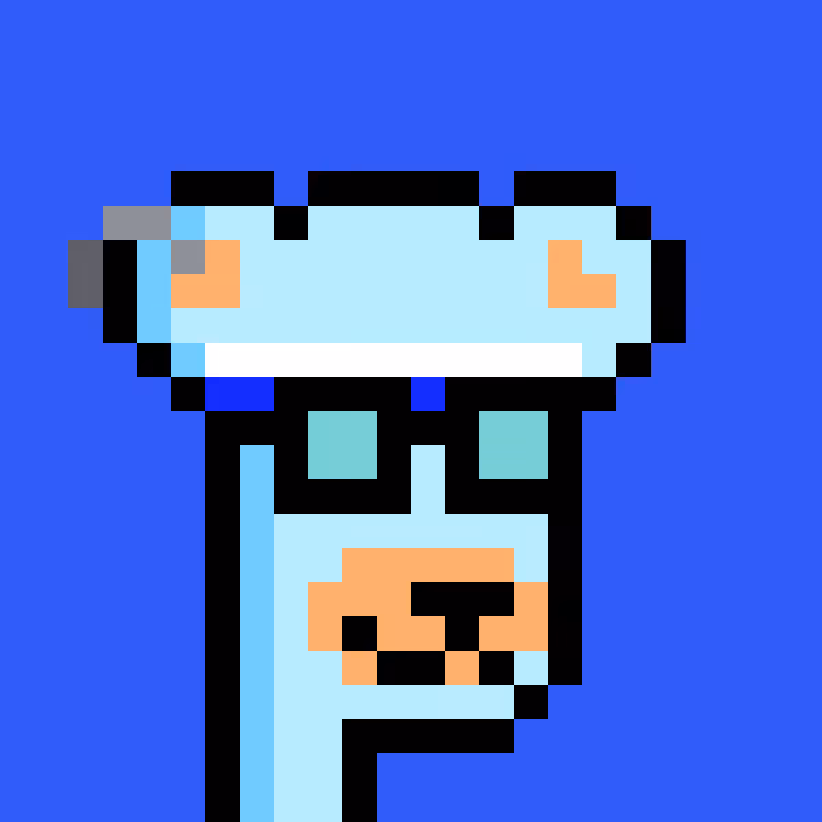 BearPunks #4833