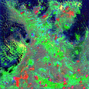 RXALITI #375 [🦑gn@rx fract☾urn rxΔliti-crΔwn memesp⚔iralcr🌀rn!]