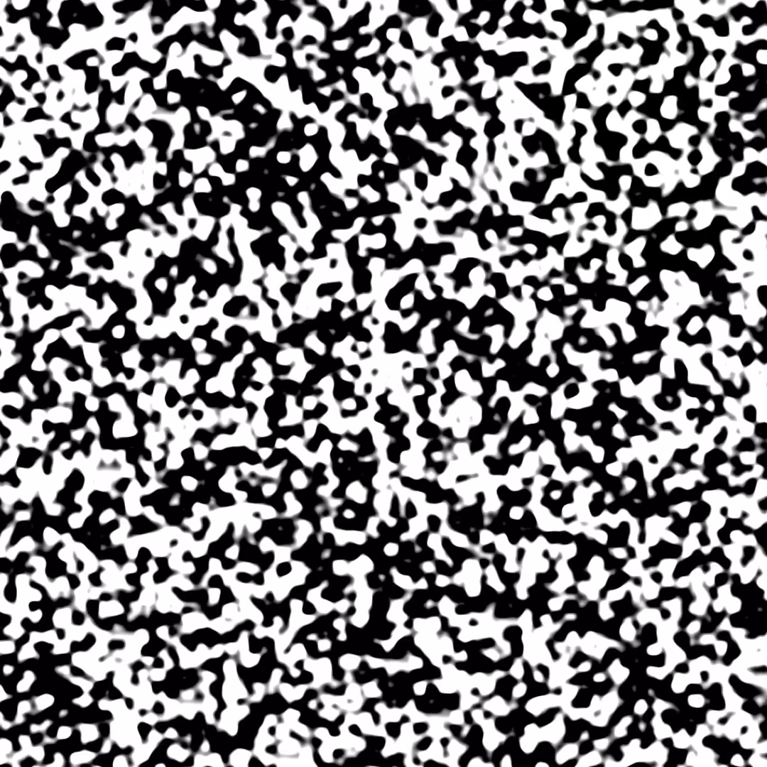 everything is alive