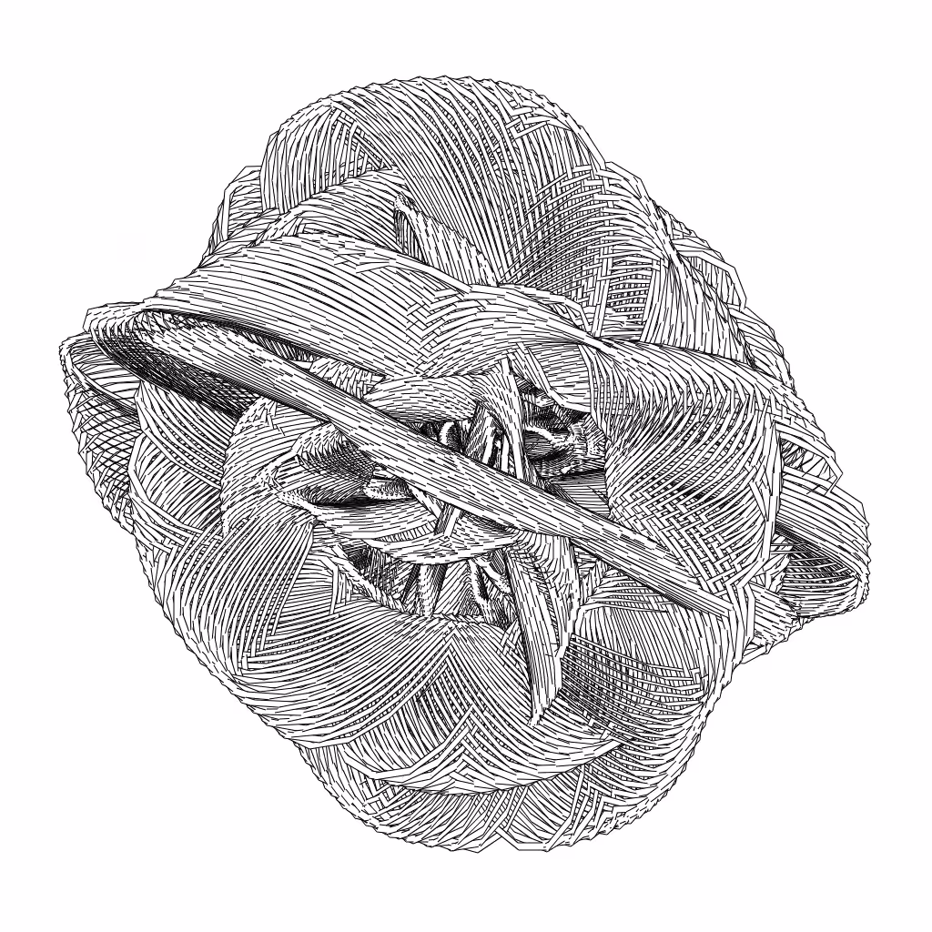 LL21 Entangled (3) #294
