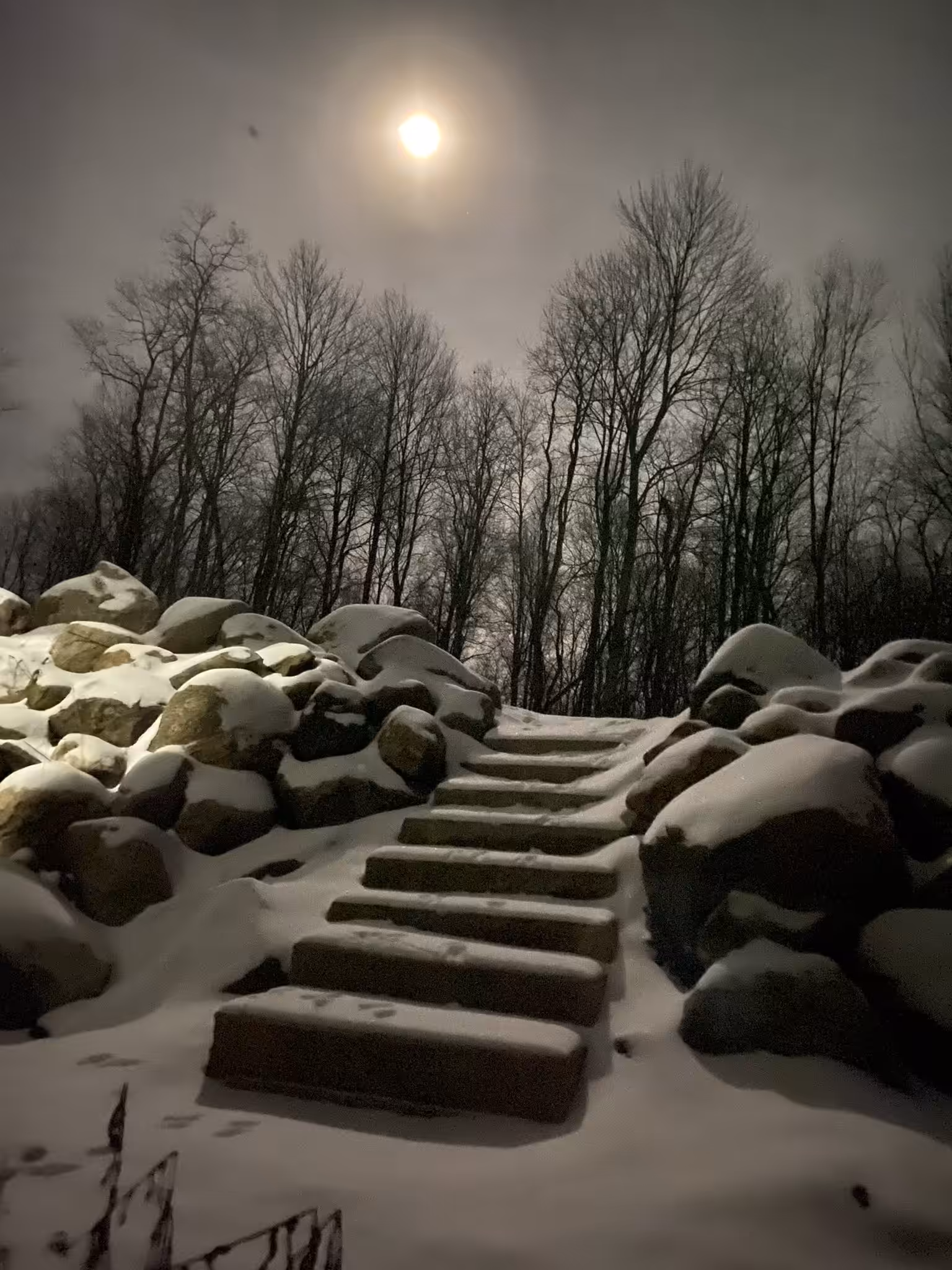 Winter Nights