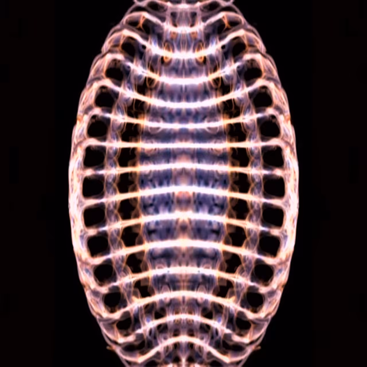 Crazy Egg 04