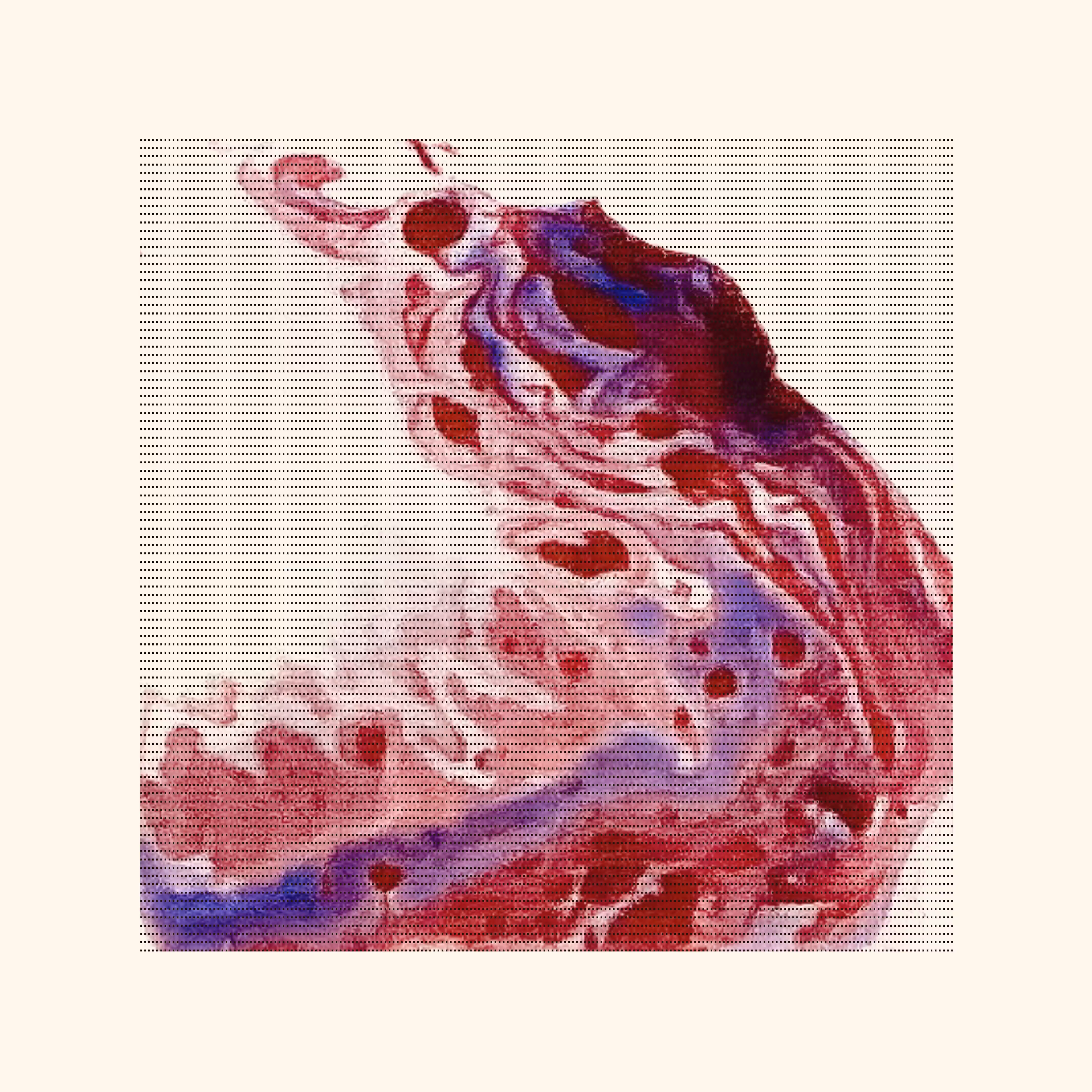 LT 003