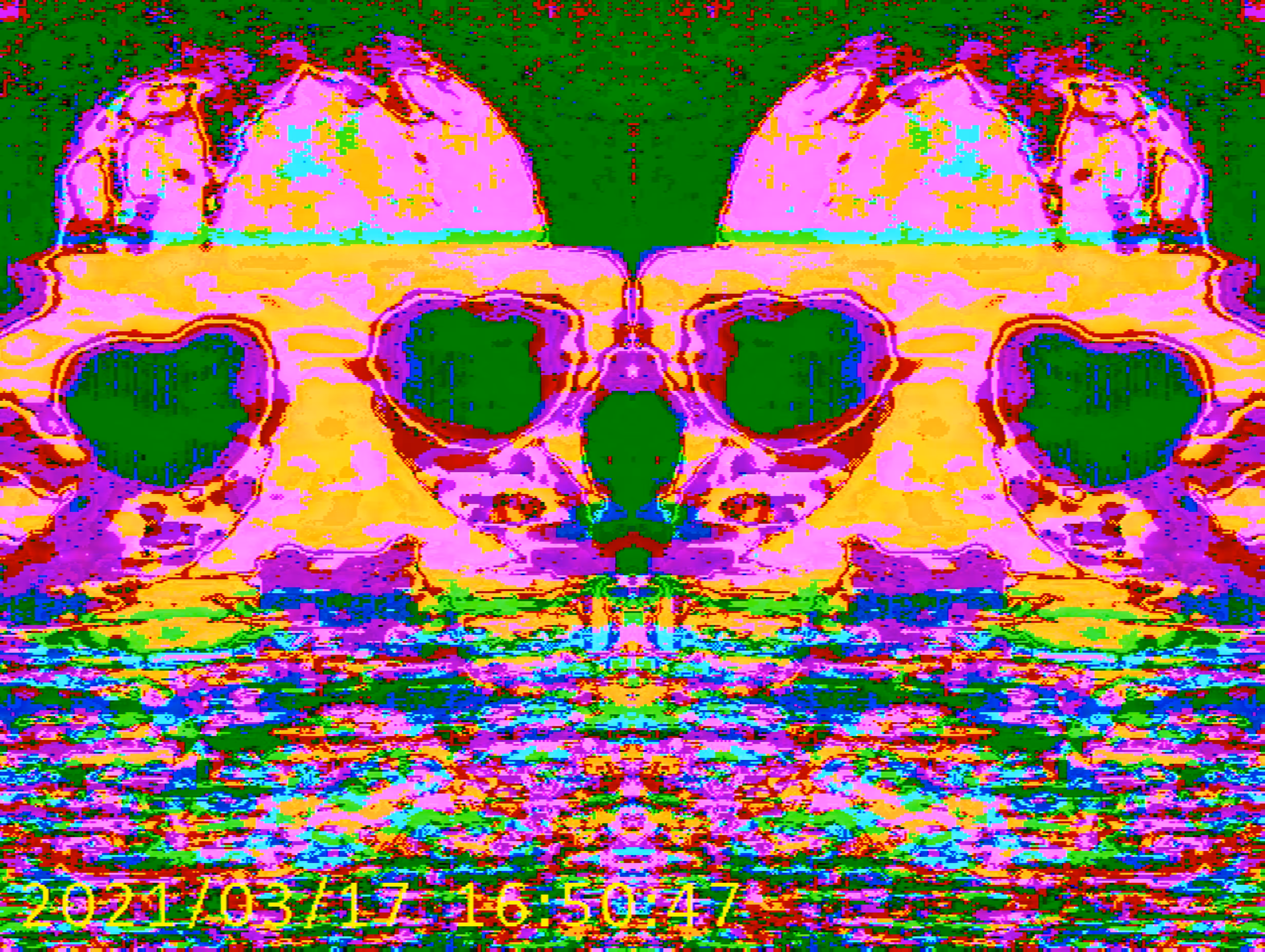 Self Portrait