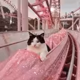 Riding the week like a 🎢