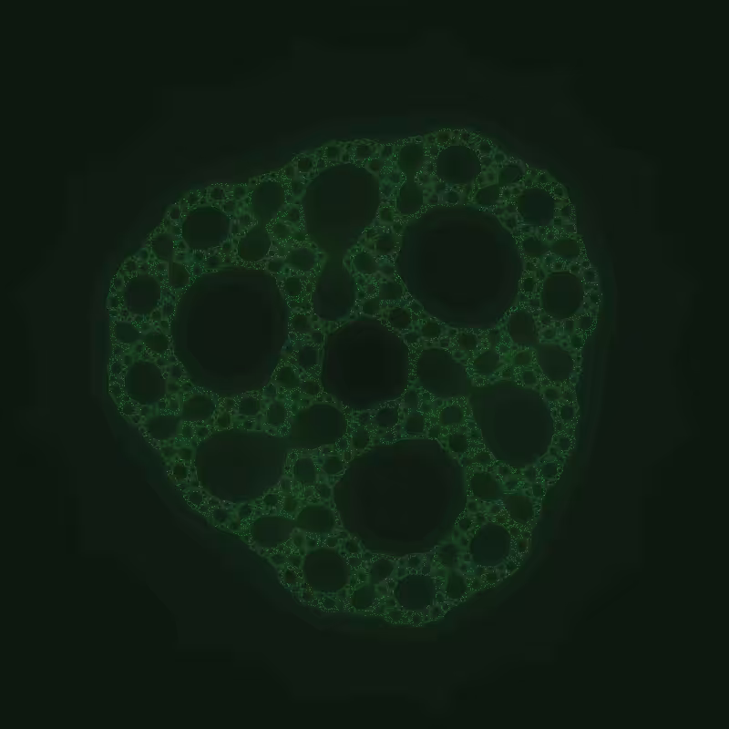 One of the fractals #13