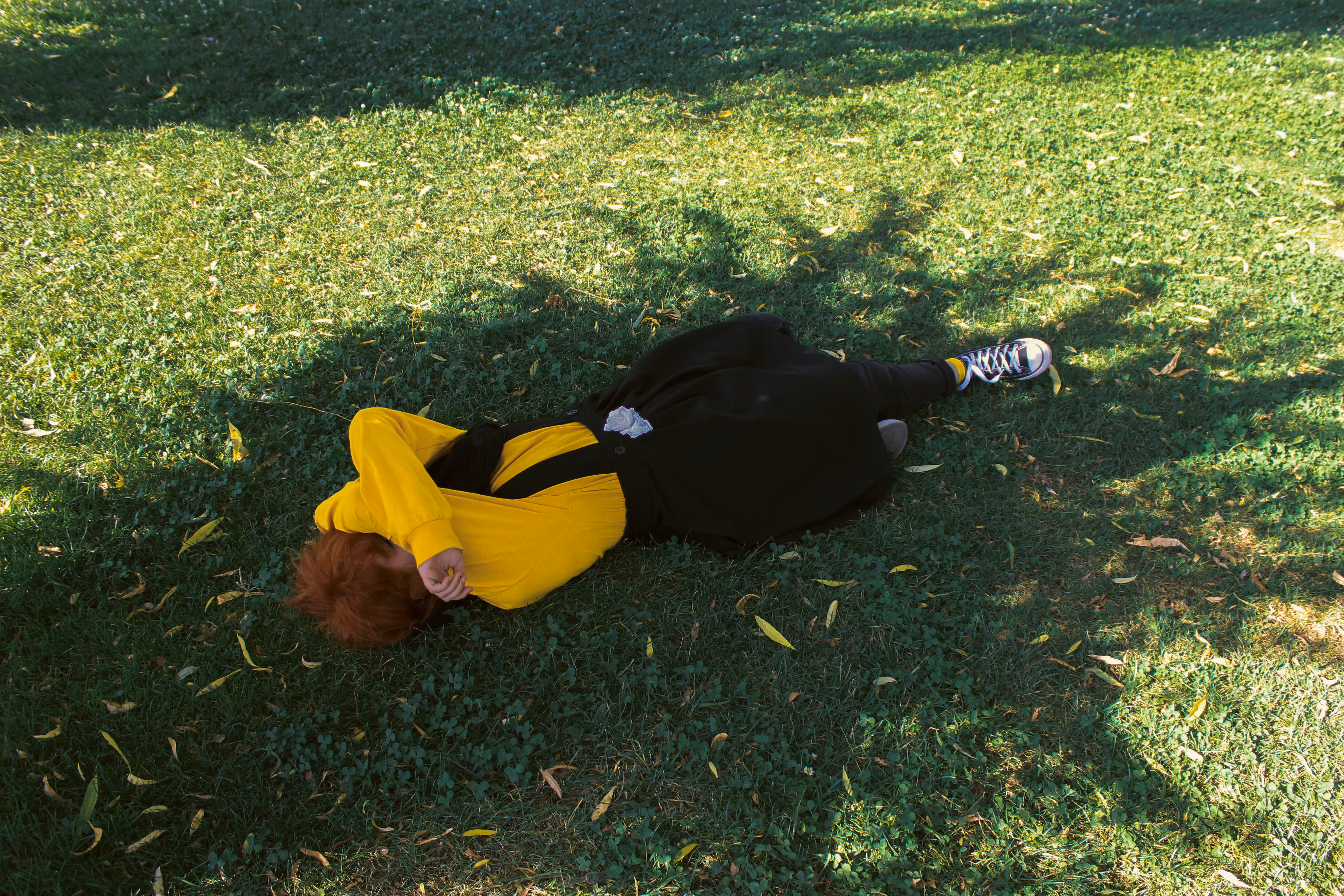 Lady bird