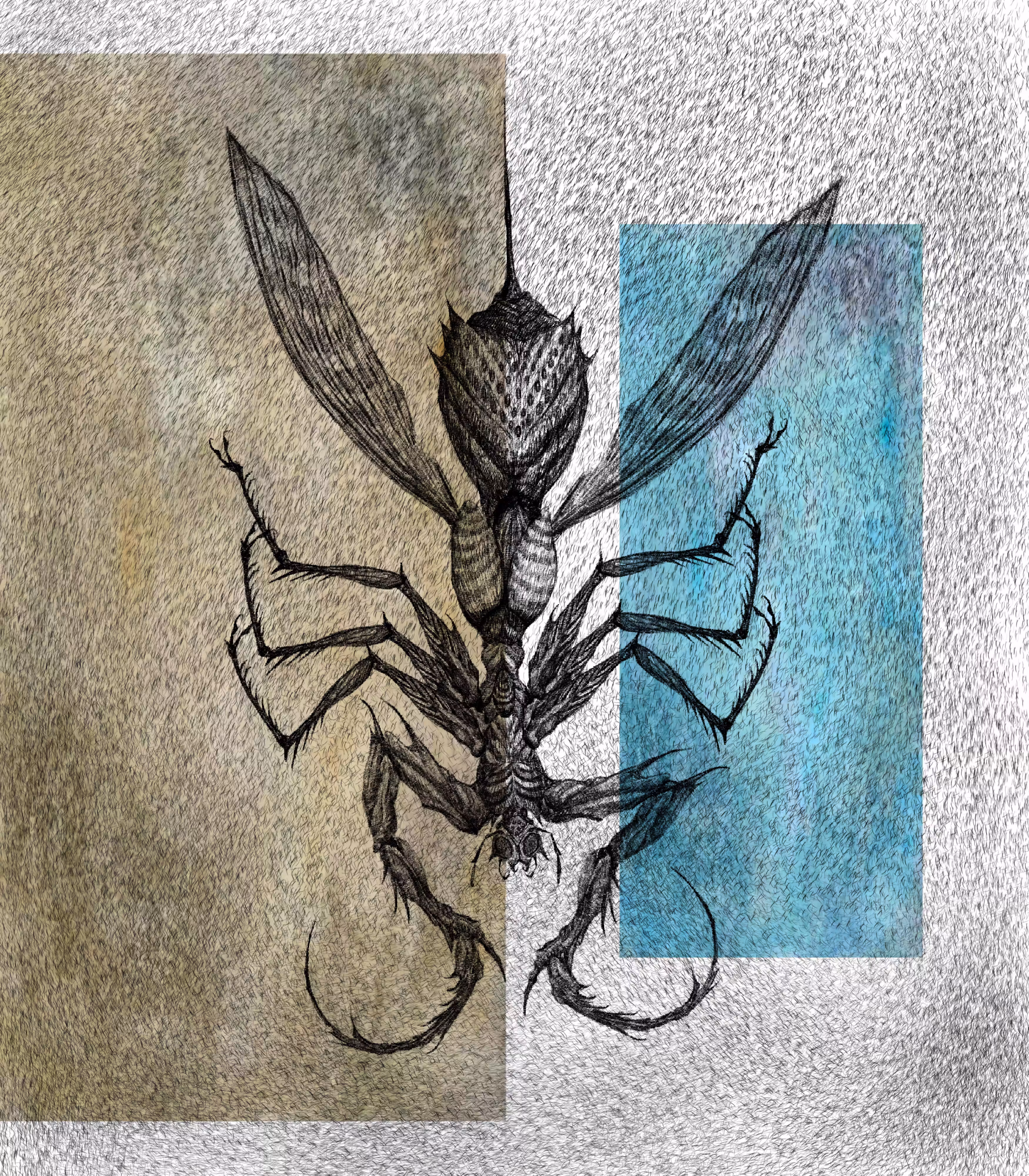 QUEEN ANT