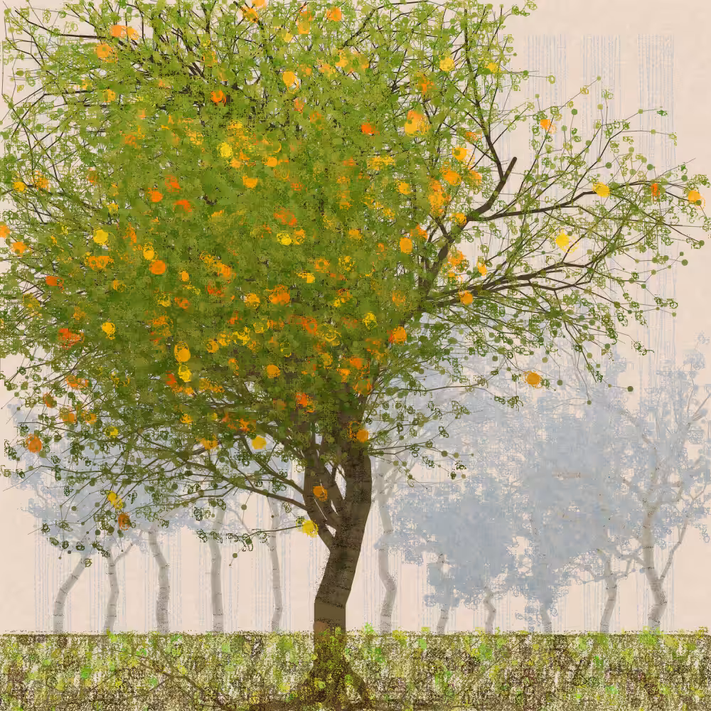 Orchard #193