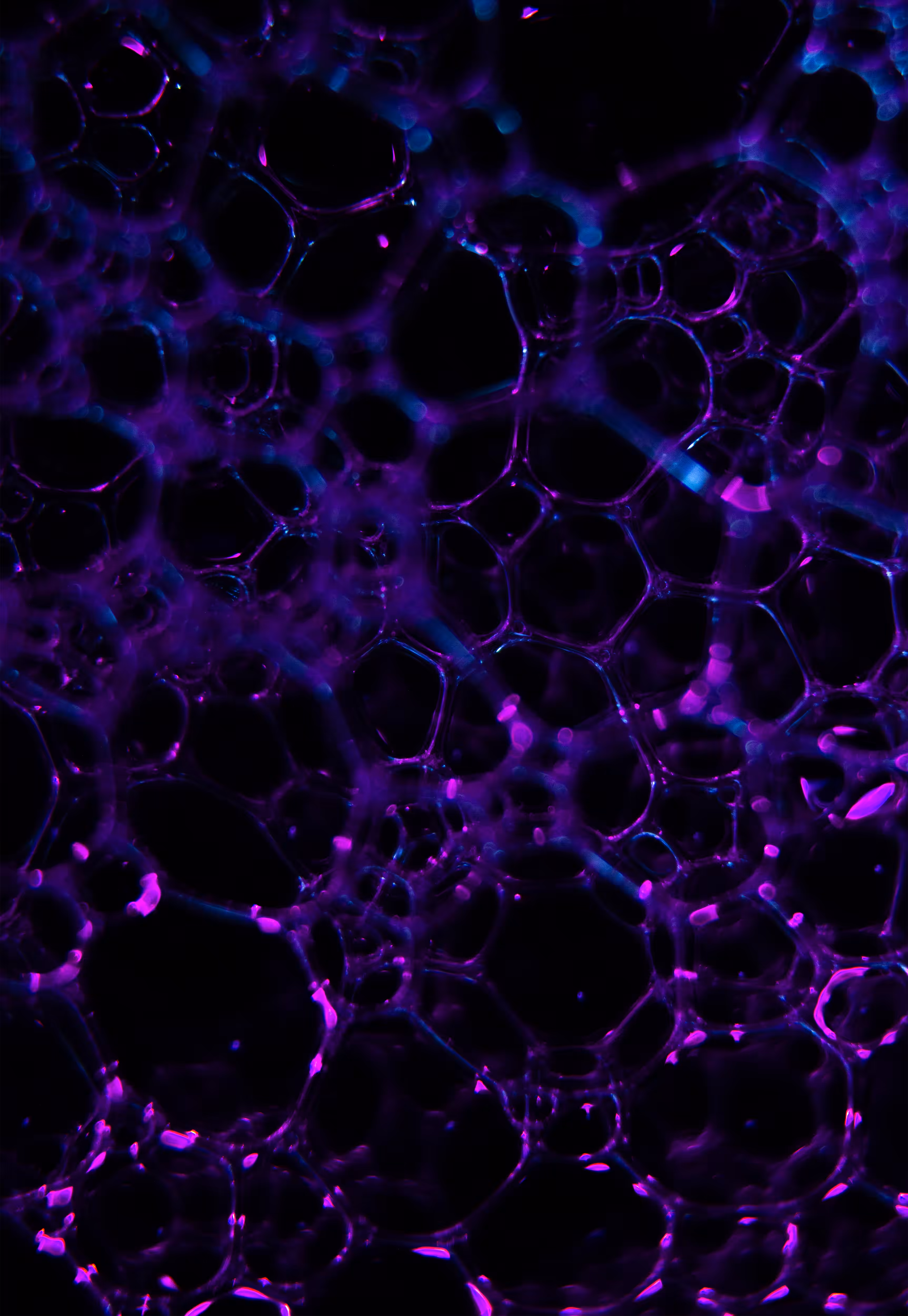 Abstract World of Soap Bubbles: #61 Bubbles