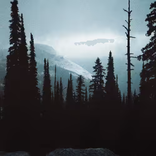 Darkness with a view..