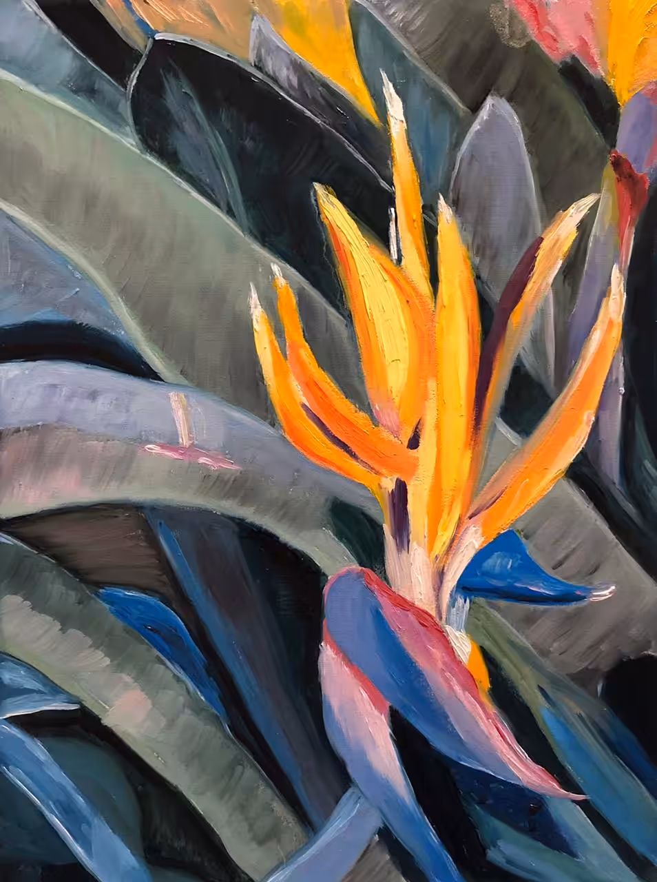 Bird of Paradise Flower