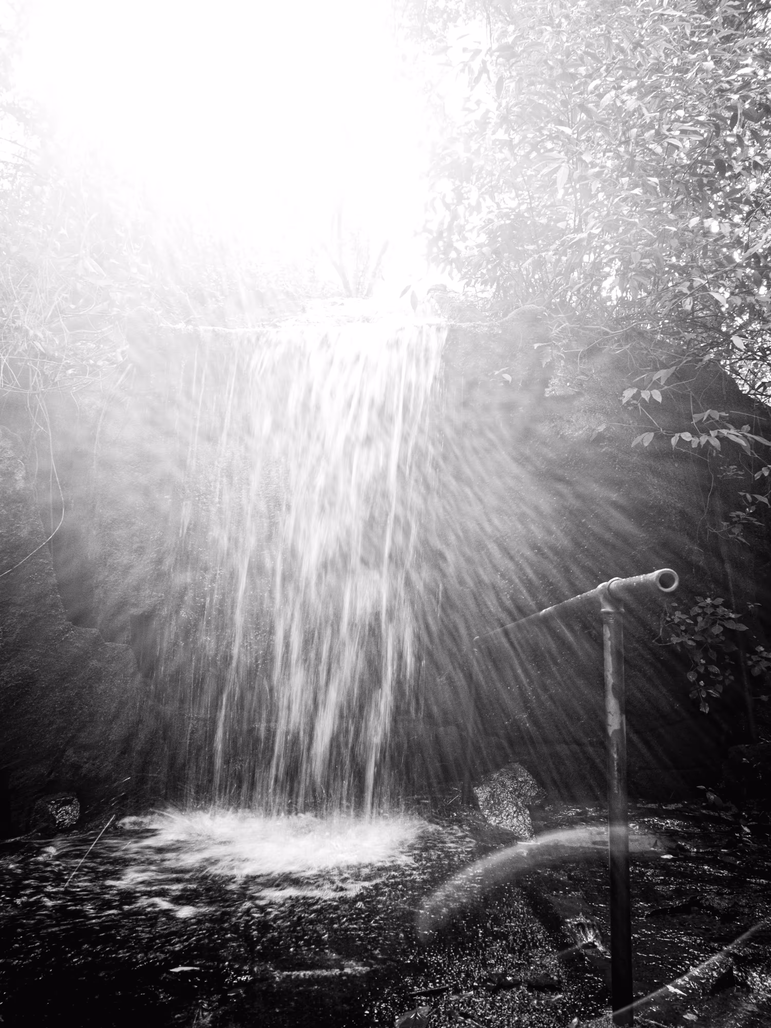 Lightfall