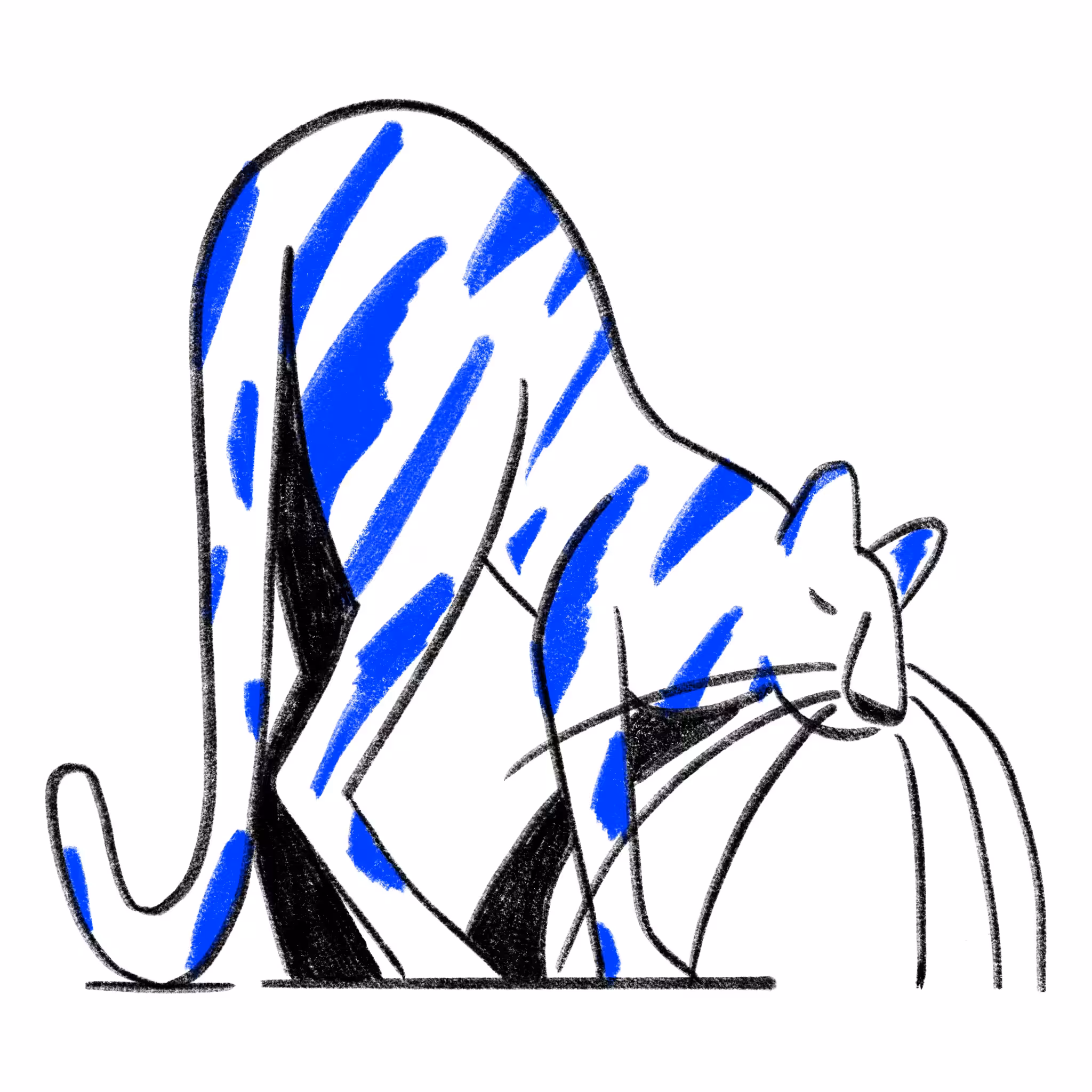 Big Cat
