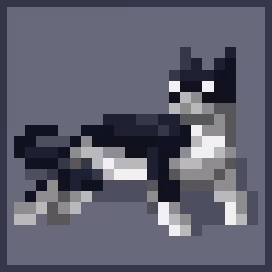Cat#9