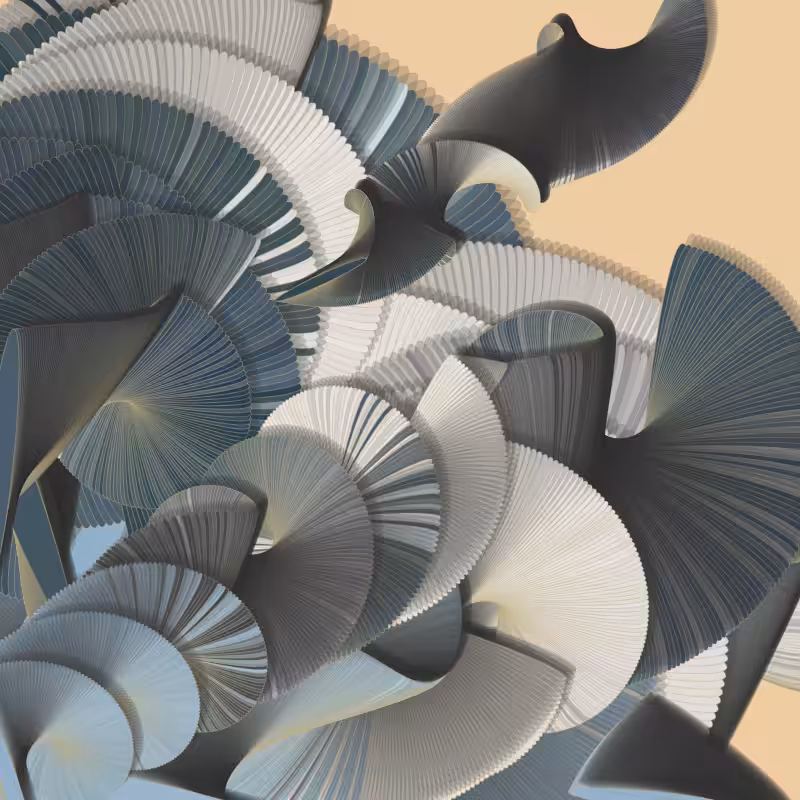 Seashells #9