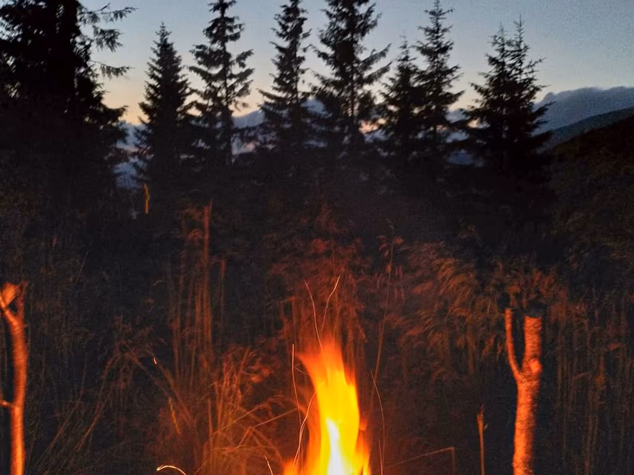 spohad2 - campfire