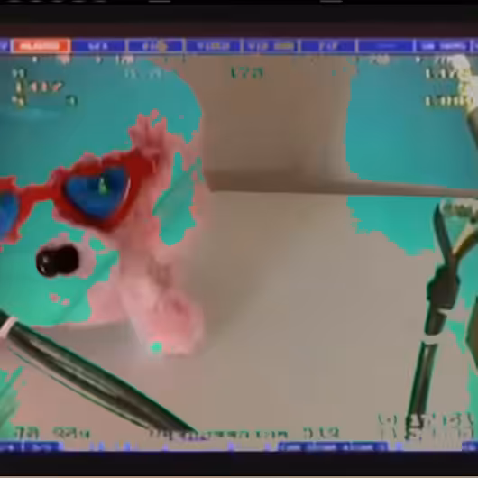 mind_the_shark.mp4